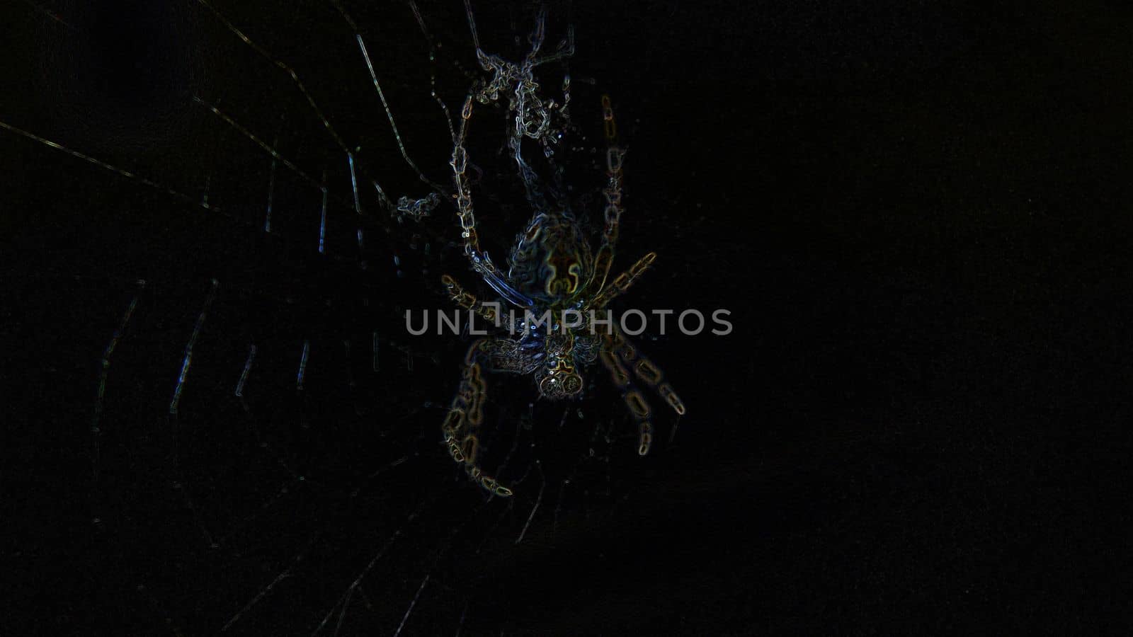 Creepy abstract silhouette of a spider hanging on a web on a dark background by Mastak80