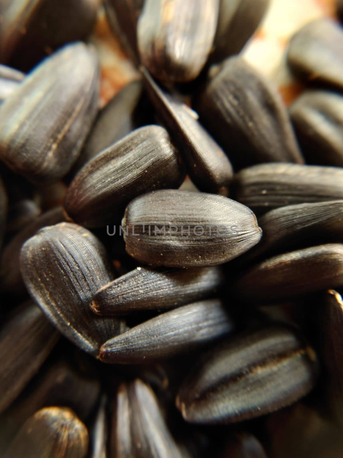 Roasted black sunflower seeds selective focus close-up by Mastak80