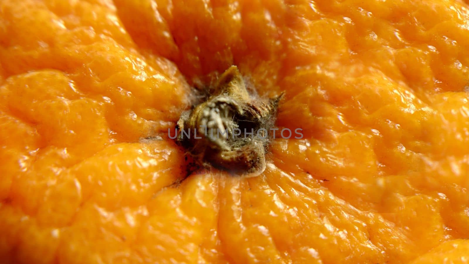 Background texture top view of an orange by Mastak80