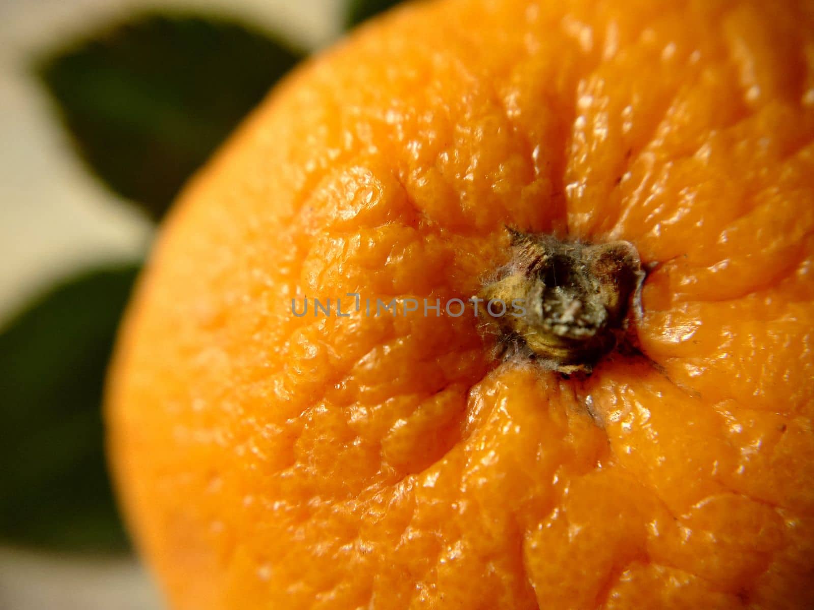 A close-up view of an orange with green leaves from above.Macro photography.Texture or background.Selective focus.