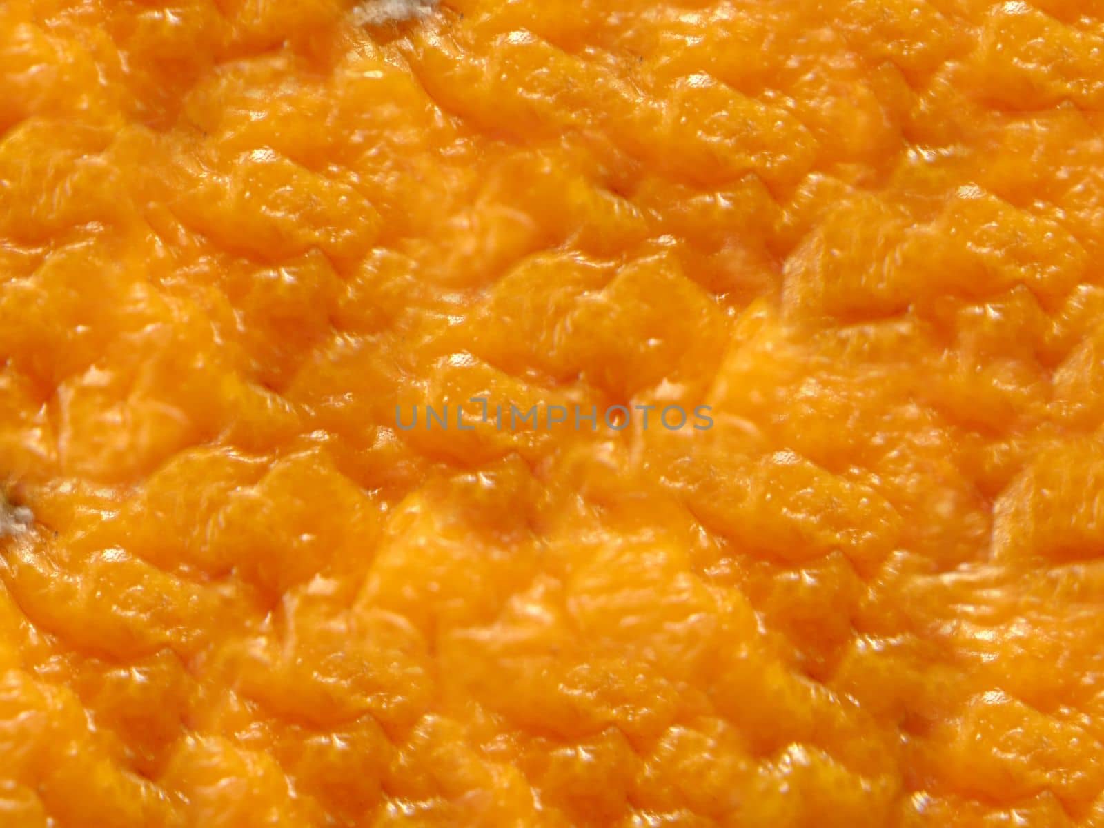 The texture of the background is made of rough orange peel on top.Macro photography.Texture or background.Selective focus.