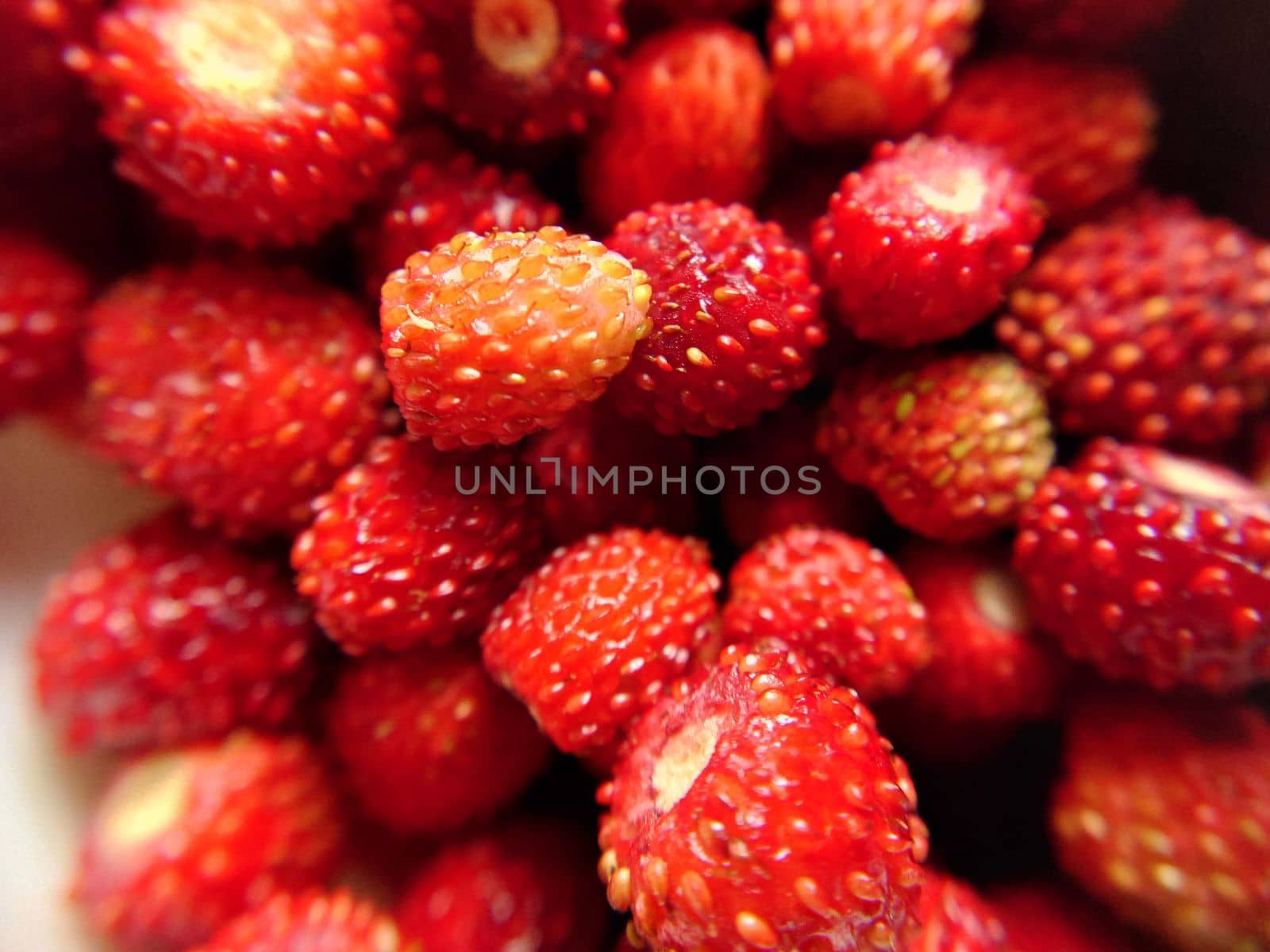 Selective focus of a handful of red forest strawberries top view by Mastak80