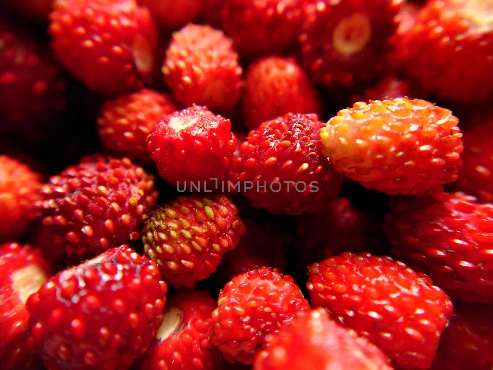 A handful of red ripe wild strawberries top view by Mastak80