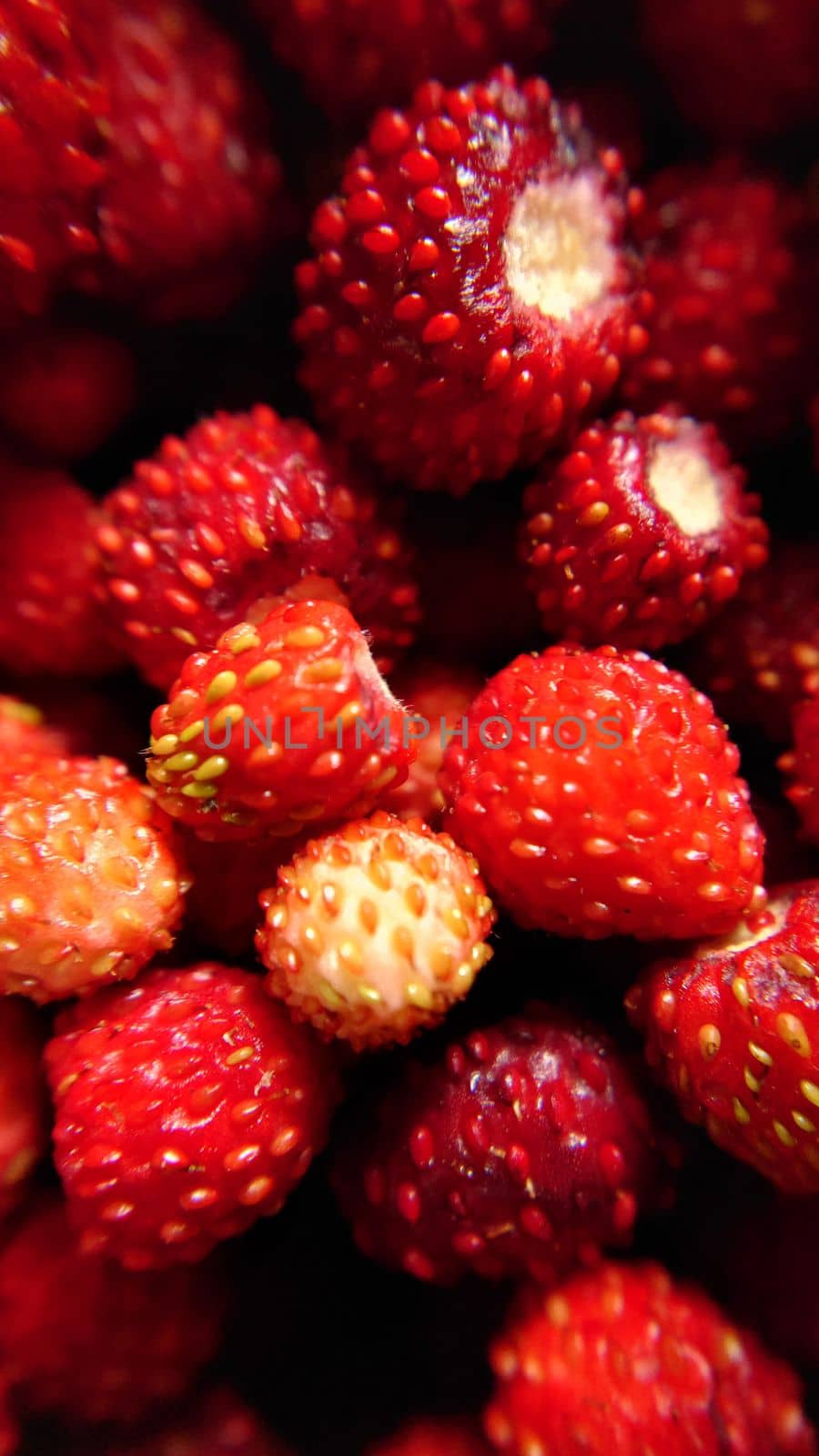A handful of red ripe strawberries in close-up.Macro photography.Texture or background.Selective focus.