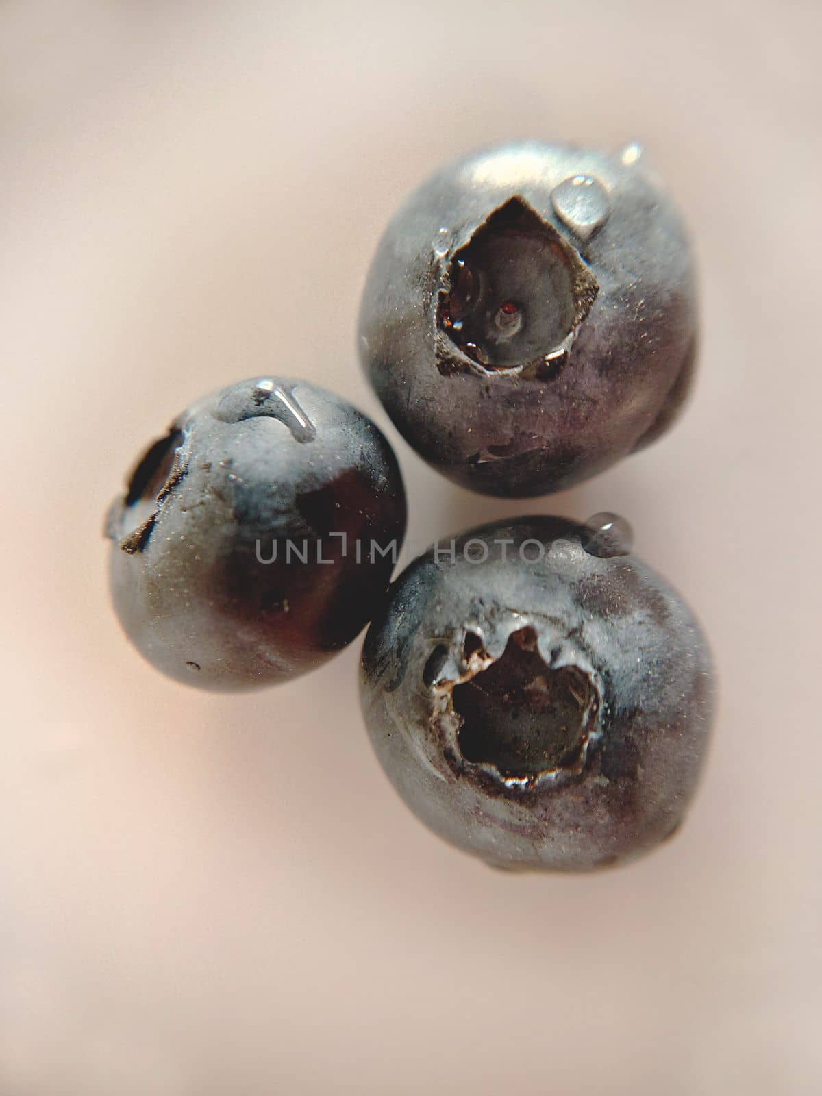 Three blueberries with water droplets close-up.Macro photography.Texture or background.Selective focus.
