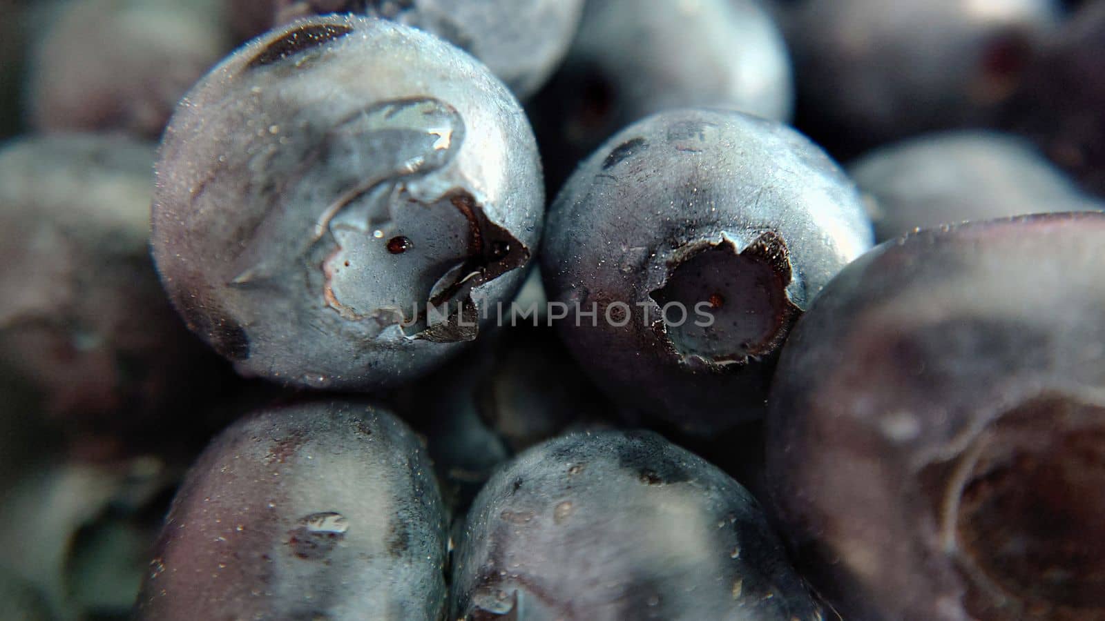 Selective focus of garden blueberries with a drop of water close-up.Macro photography.Texture or background.