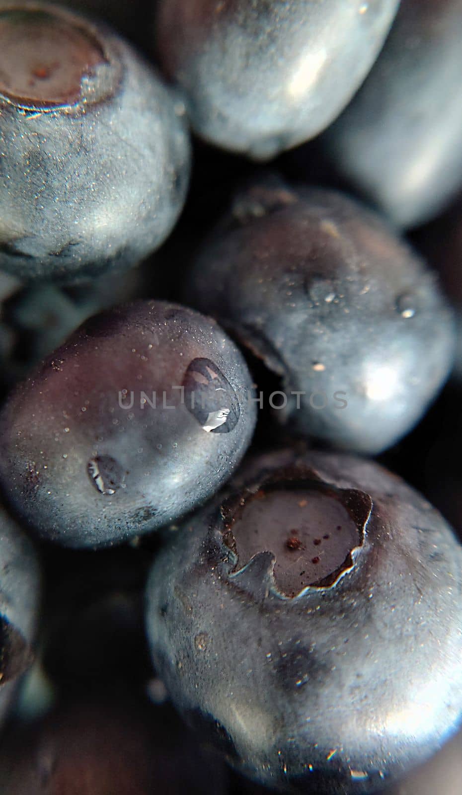A handful of blueberries with a drop of water on the surface close-up.Macro photography.Texture or background.Selective focus.