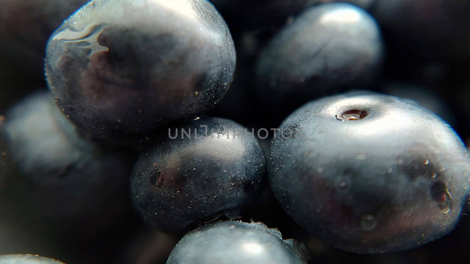 Selective focus of garden large blueberries close-up.Macro photography.Texture or background.Selective focus.