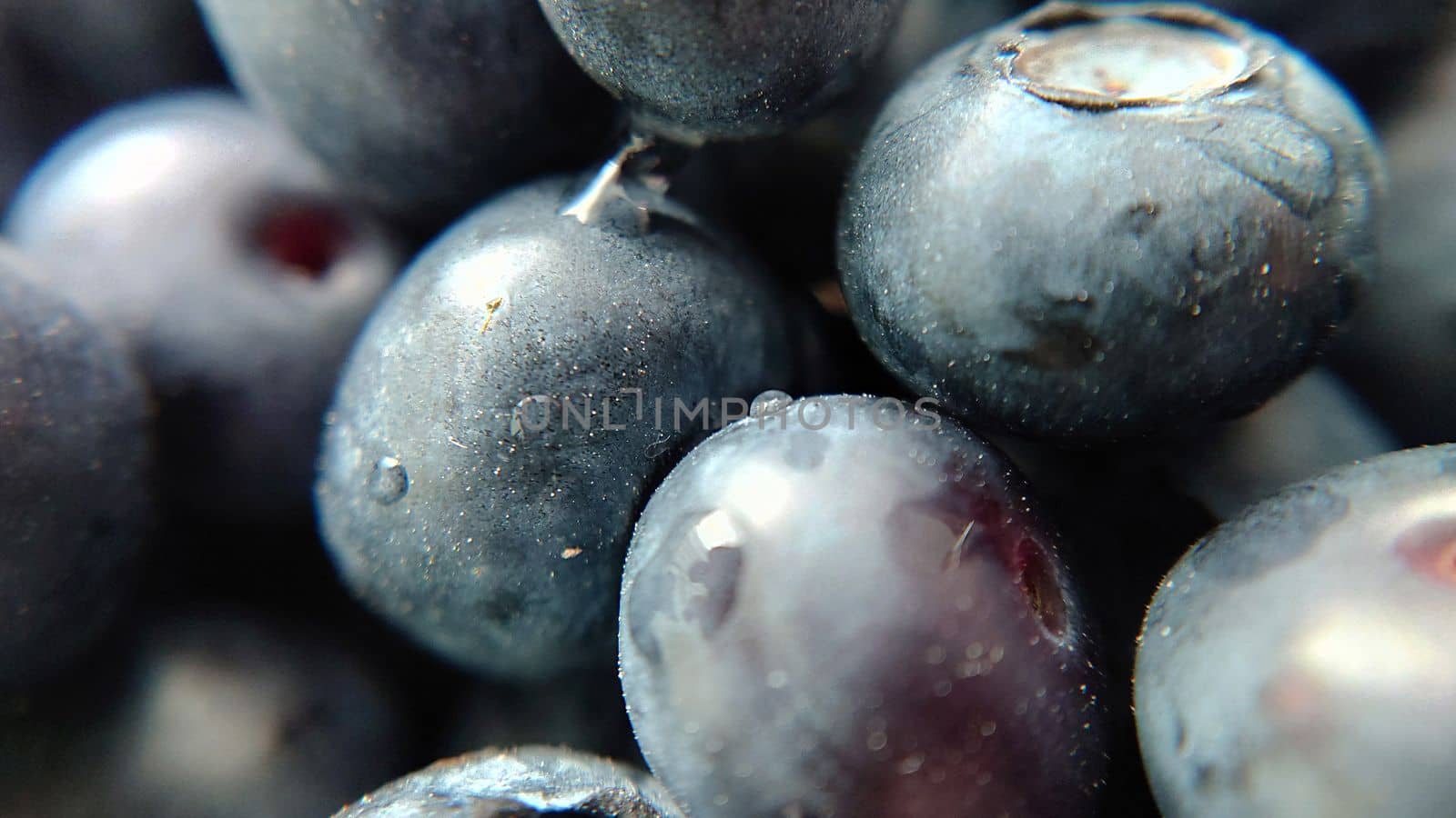 Selective focus of large ripe garden blueberries close-up by Mastak80
