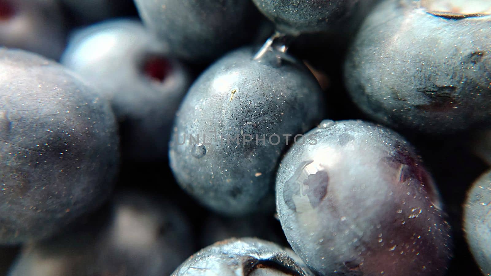 Background image of ripe blueberries in close-up.Macro photography.Texture or background.Selective focus.