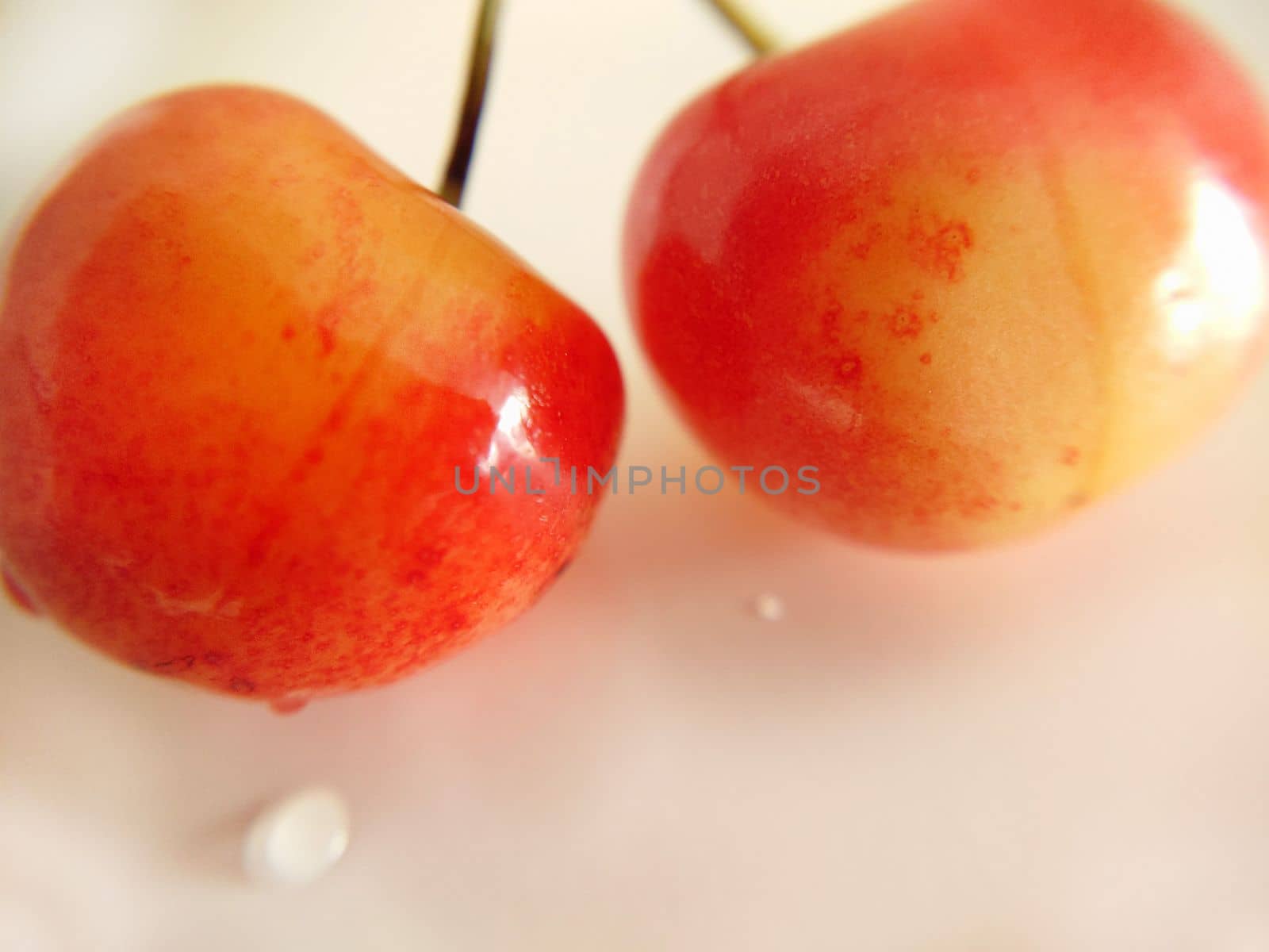 Background image of two yellow-red cherries in close-up.Macro photography.Texture or background.Selective focus.