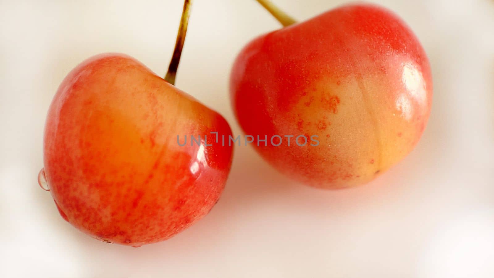 Two ripe cherries close-up on a light background.Macro photography.Texture or background.Selective focus.