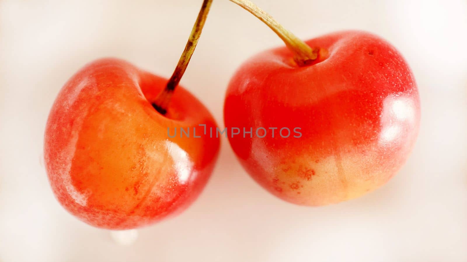 Two ripe red-yellow cherries on a light background.Macro photography.Texture or background.Selective focus.