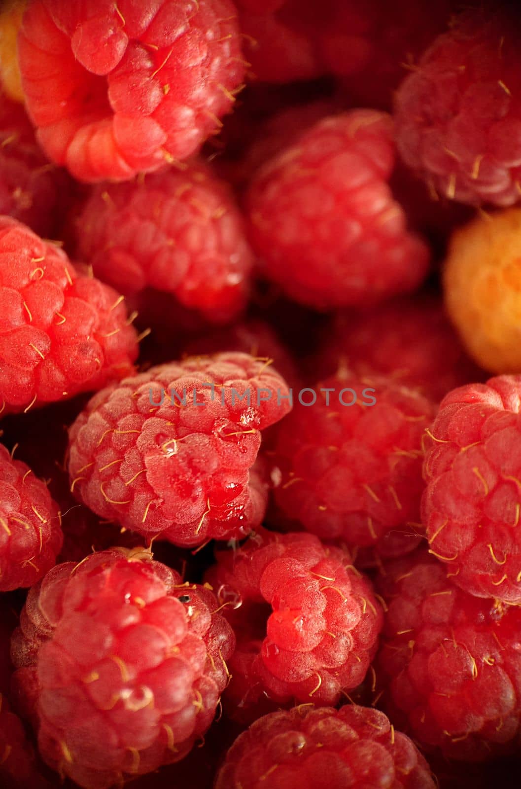 Ripe sweet raspberries enriched with vitamins close-up.Macro photography.Texture or background.Selective focus.