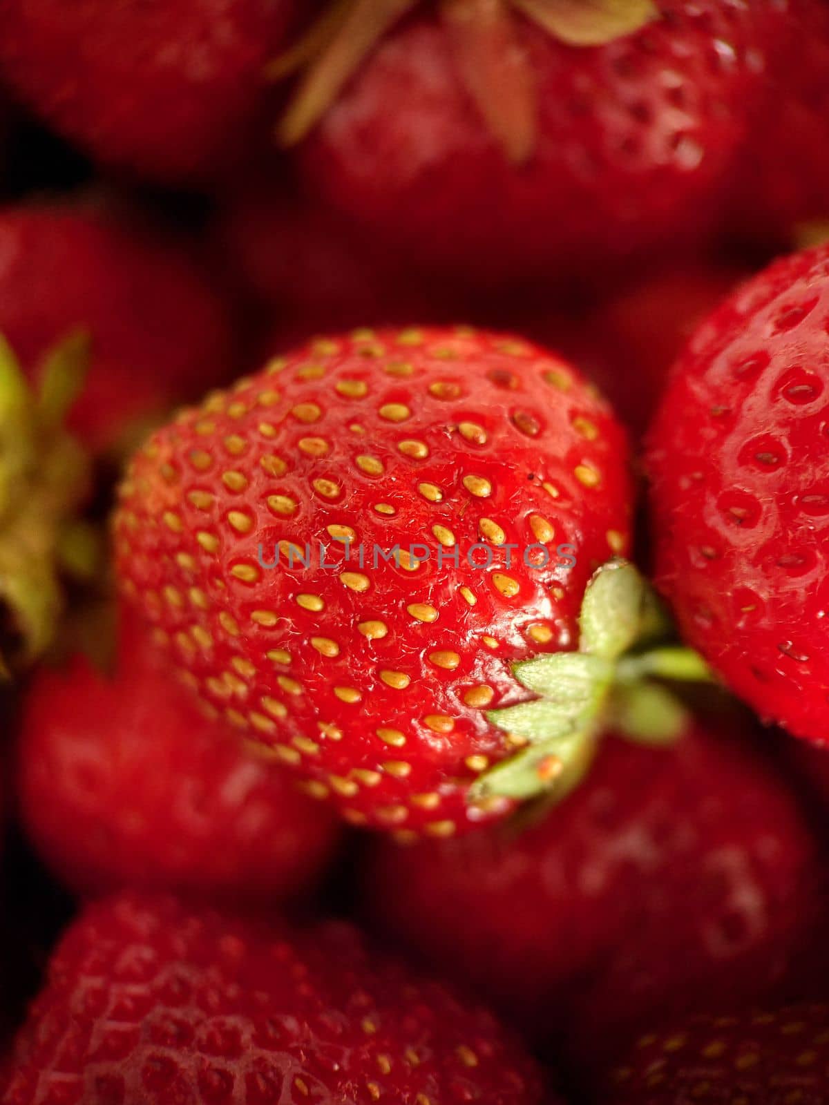 Juicy red strawberries with green leaves close-up.Macrophotography.Texture or background. Selective focus.