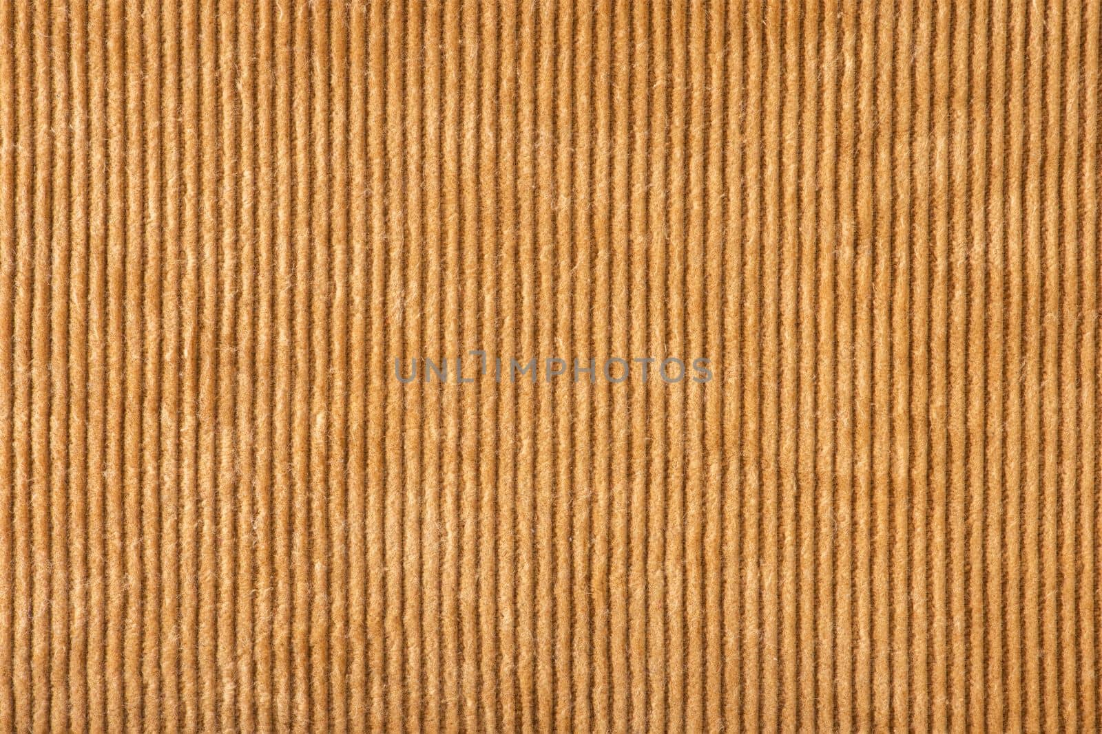 Texture of ribbed velvet. Texture of velvet fabric in light brown color with vertical stripes. by SERSOL