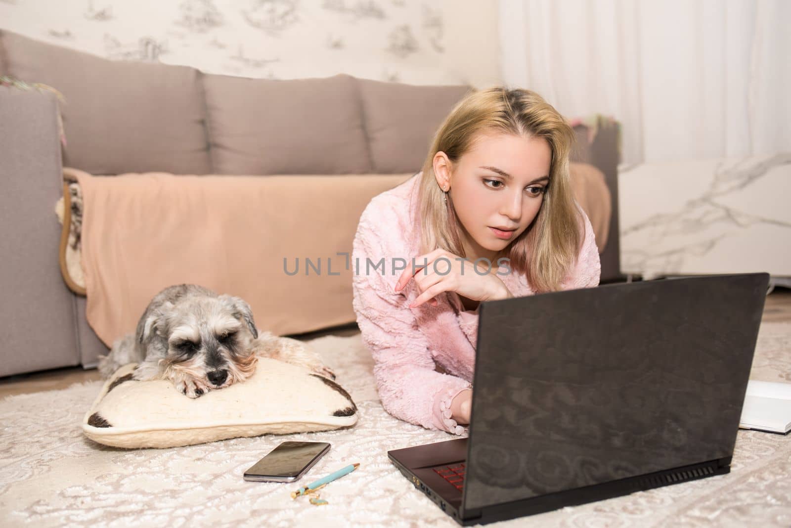 Young blond lady is working on a laptop, a gray dog is lying on the carpet next to her.