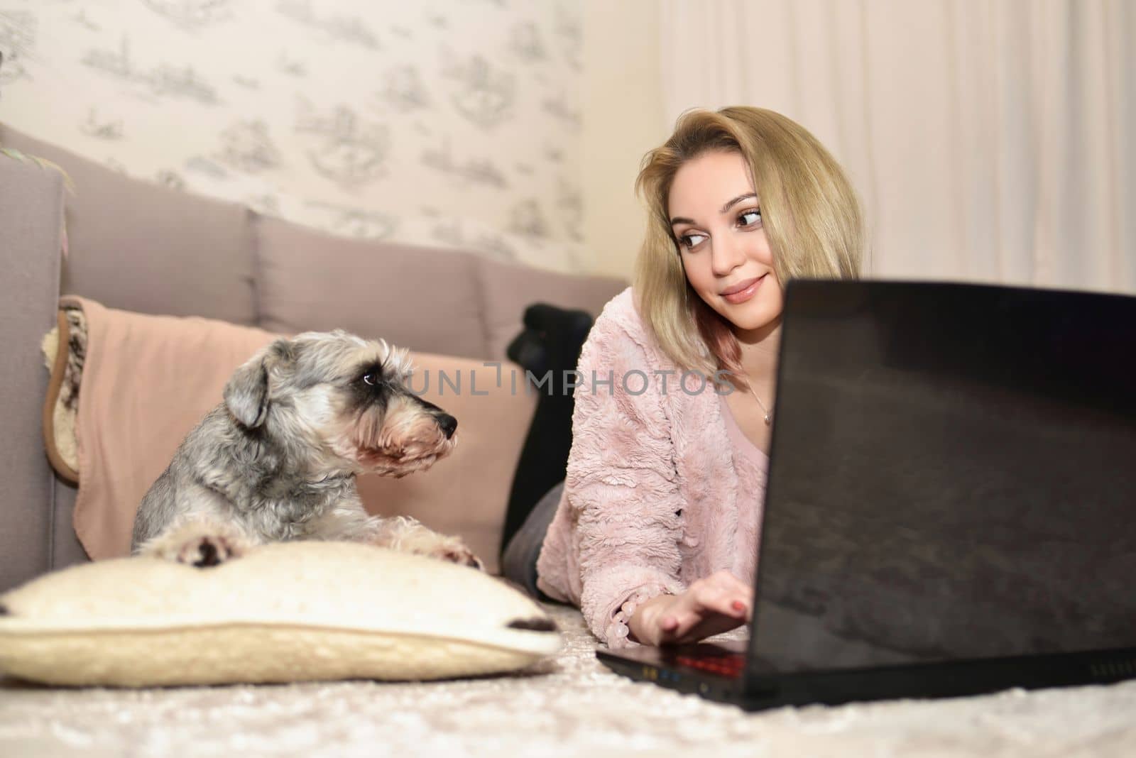 Young Lady is lying on the carpet at home with a laptop and looking at her cute gray dog who is asking for attention