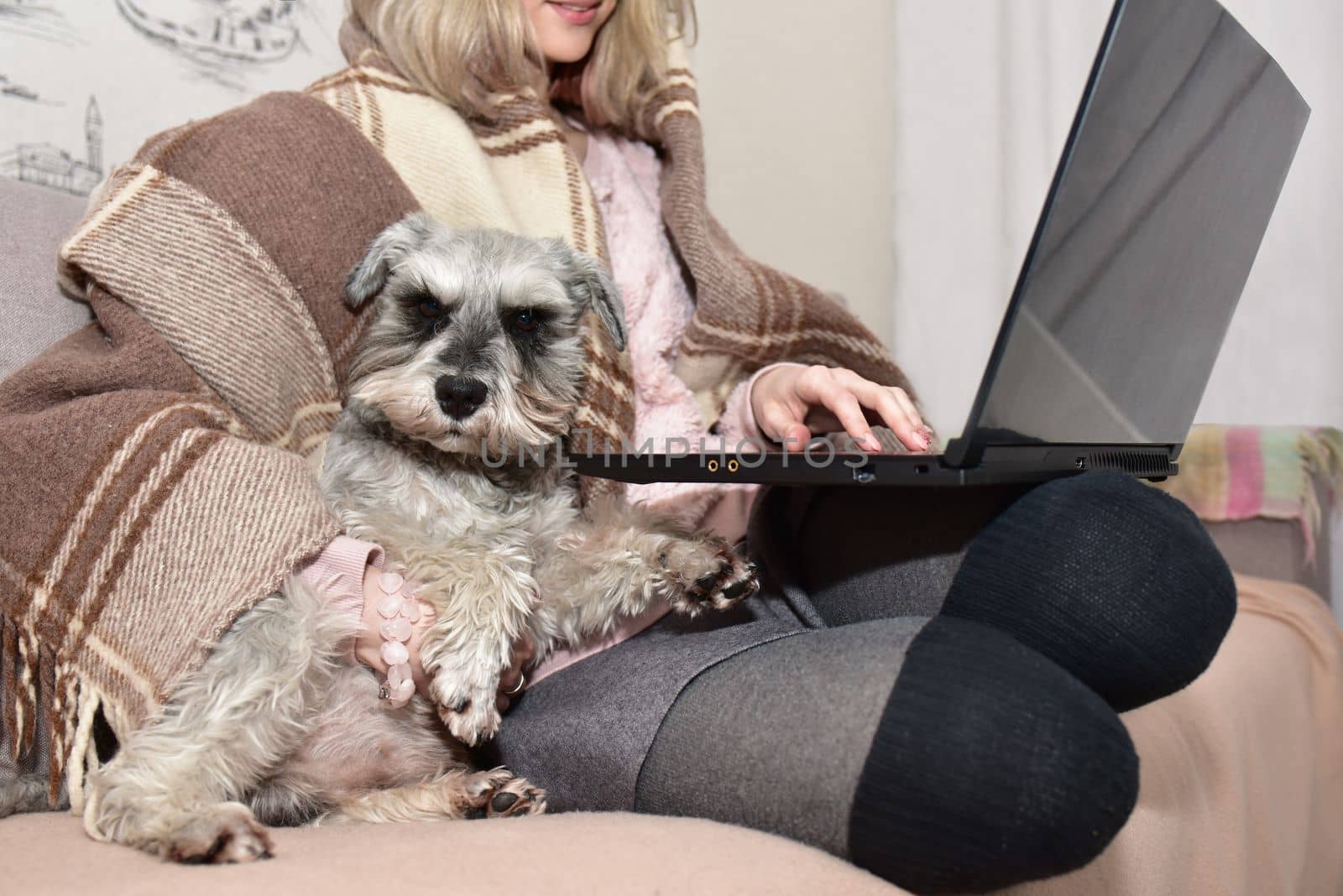woman in a warm plaid is sitting on a sofa watching movies on a laptop with her cute doggy.