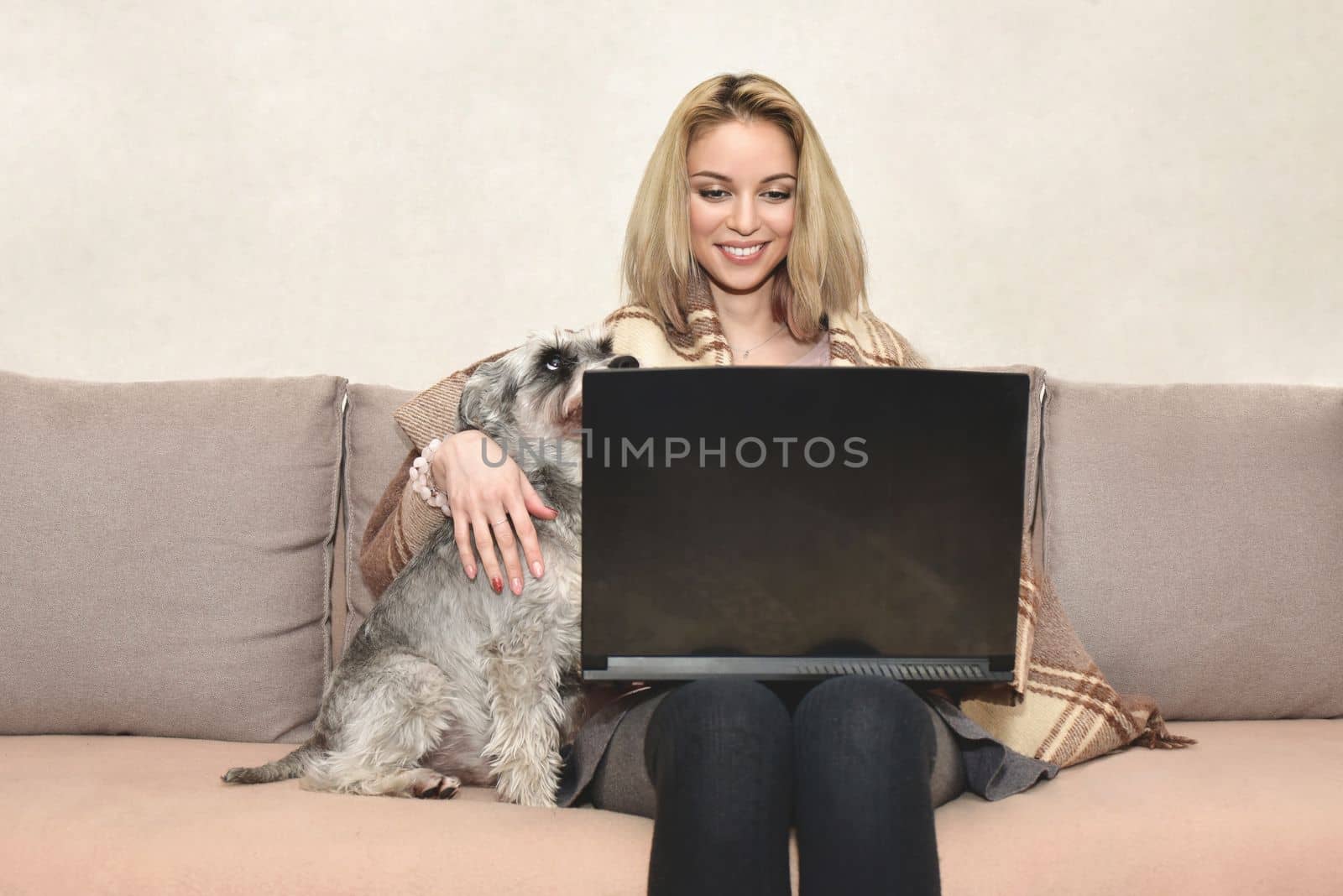 Woman covered with a warm blanket sits on the sofa at home with her dog and smiles happily while chatting by video call on a notebook by Nickstock