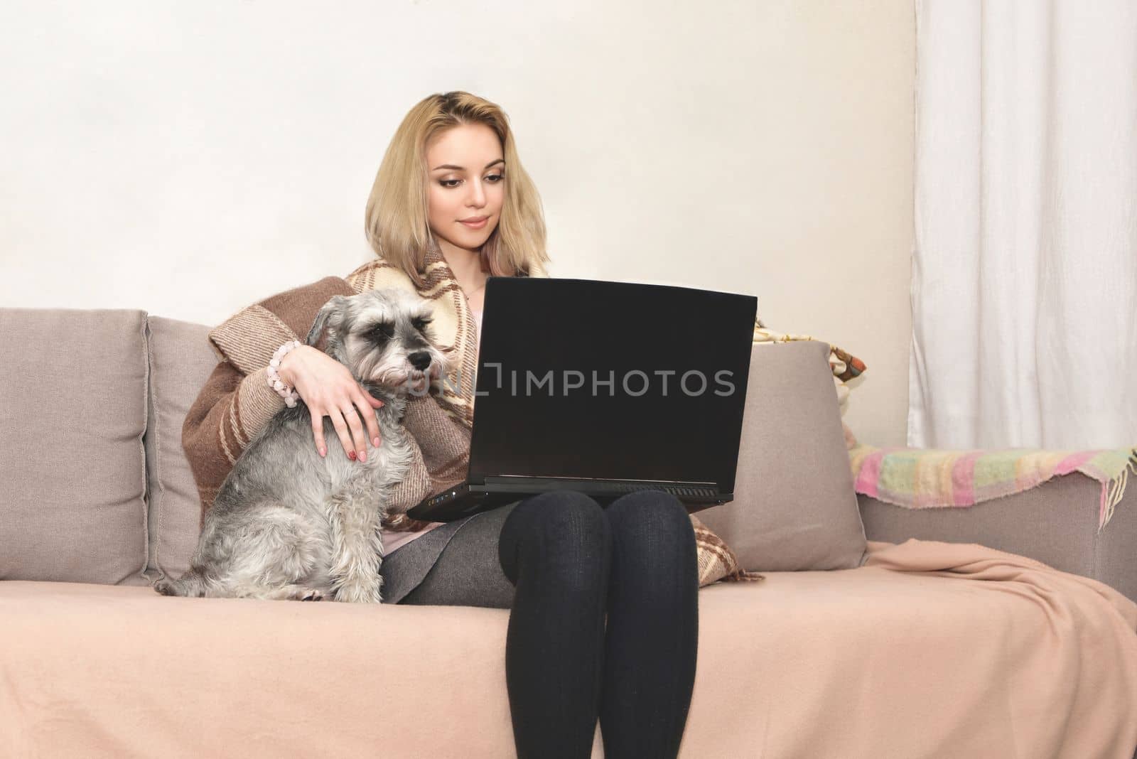 A charming blond woman is sitting at home with a laptop on the couch and hugging a cute gray dog.