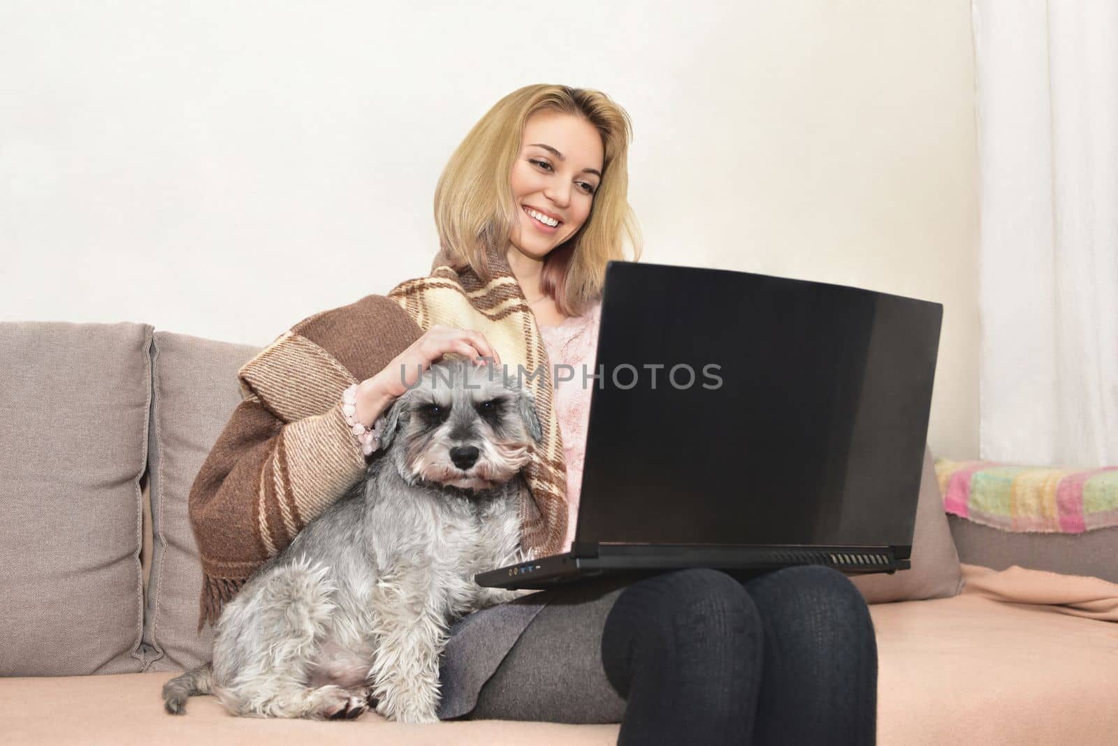 Gray shaggy schnauzer dog is sitting on the couch in the arms of a girl who is working on a laptop.
