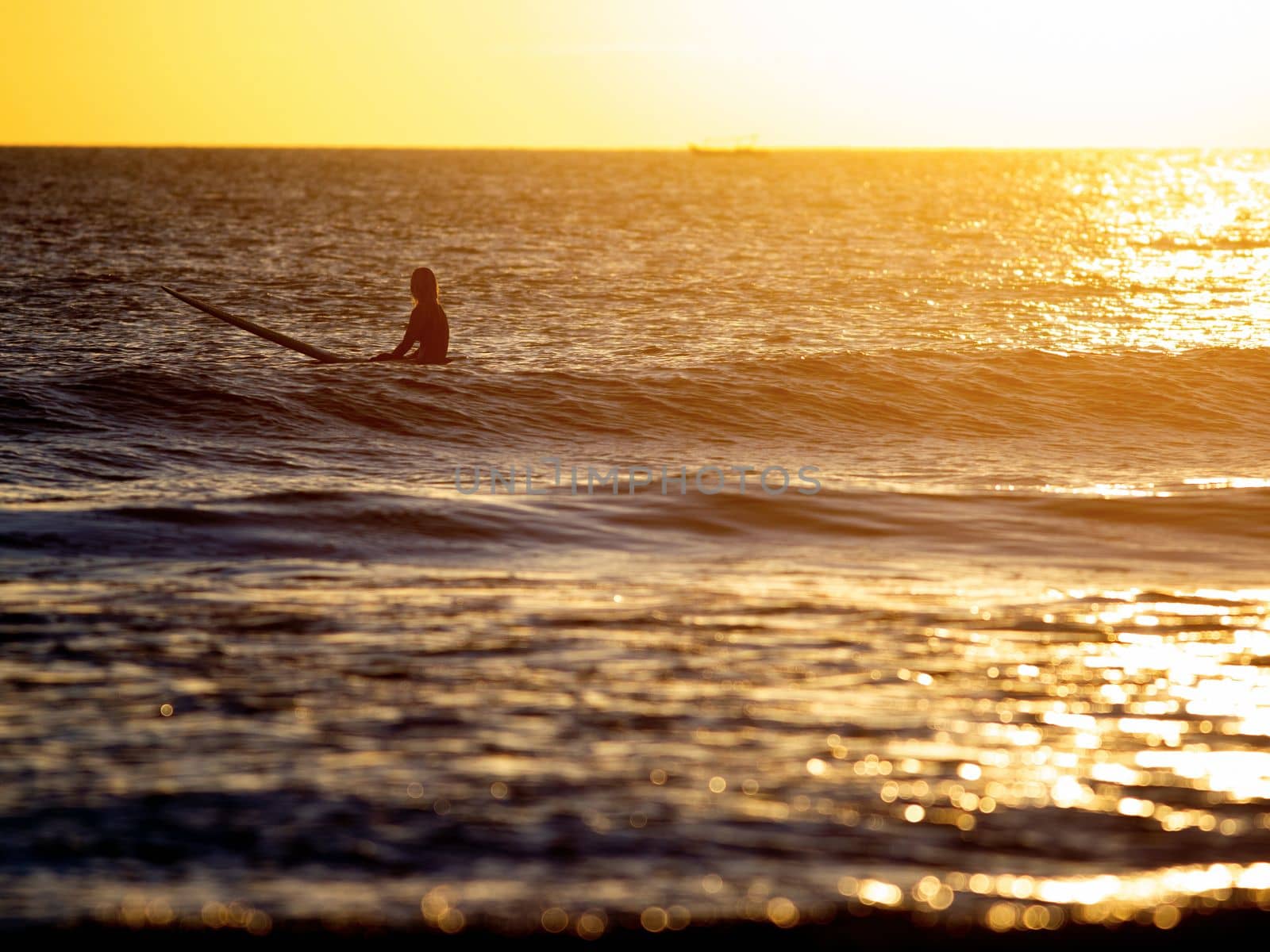 surfer sitting in the ocean at sunset by Alexzhilkin