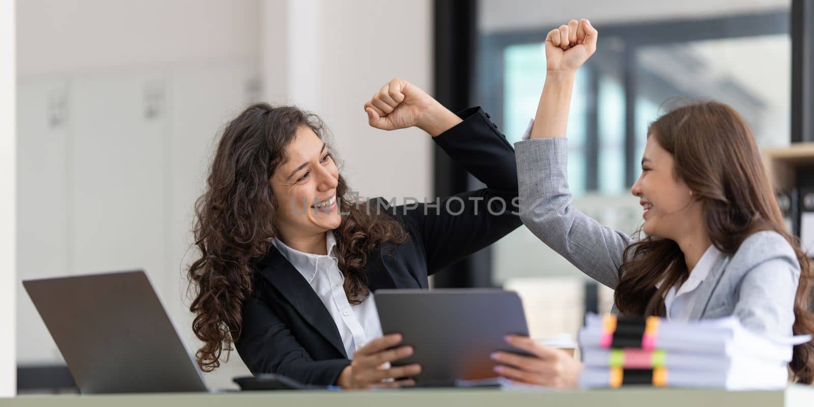 Smiling Businesswoman working with partner at office. finance concept