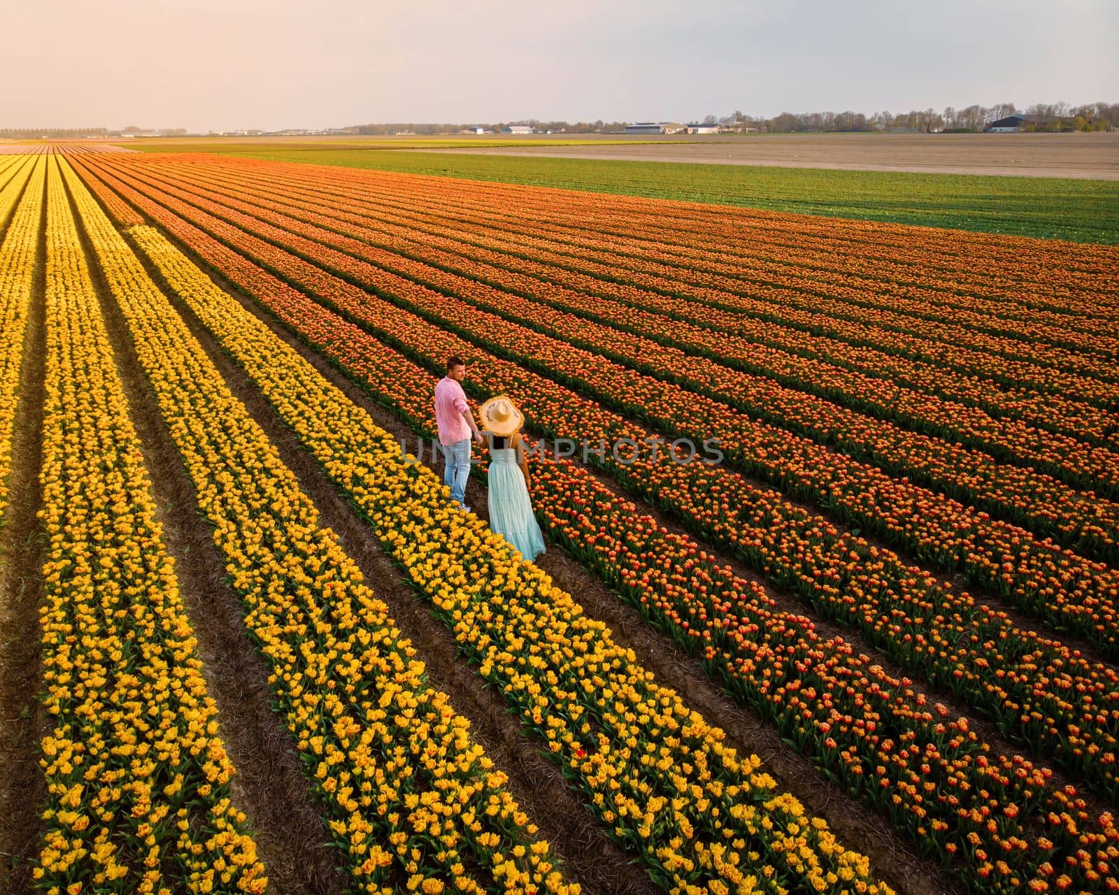 Drone aerial view from above at couple men and woman in tulip field, Noordoostpolder Netherlands by fokkebok