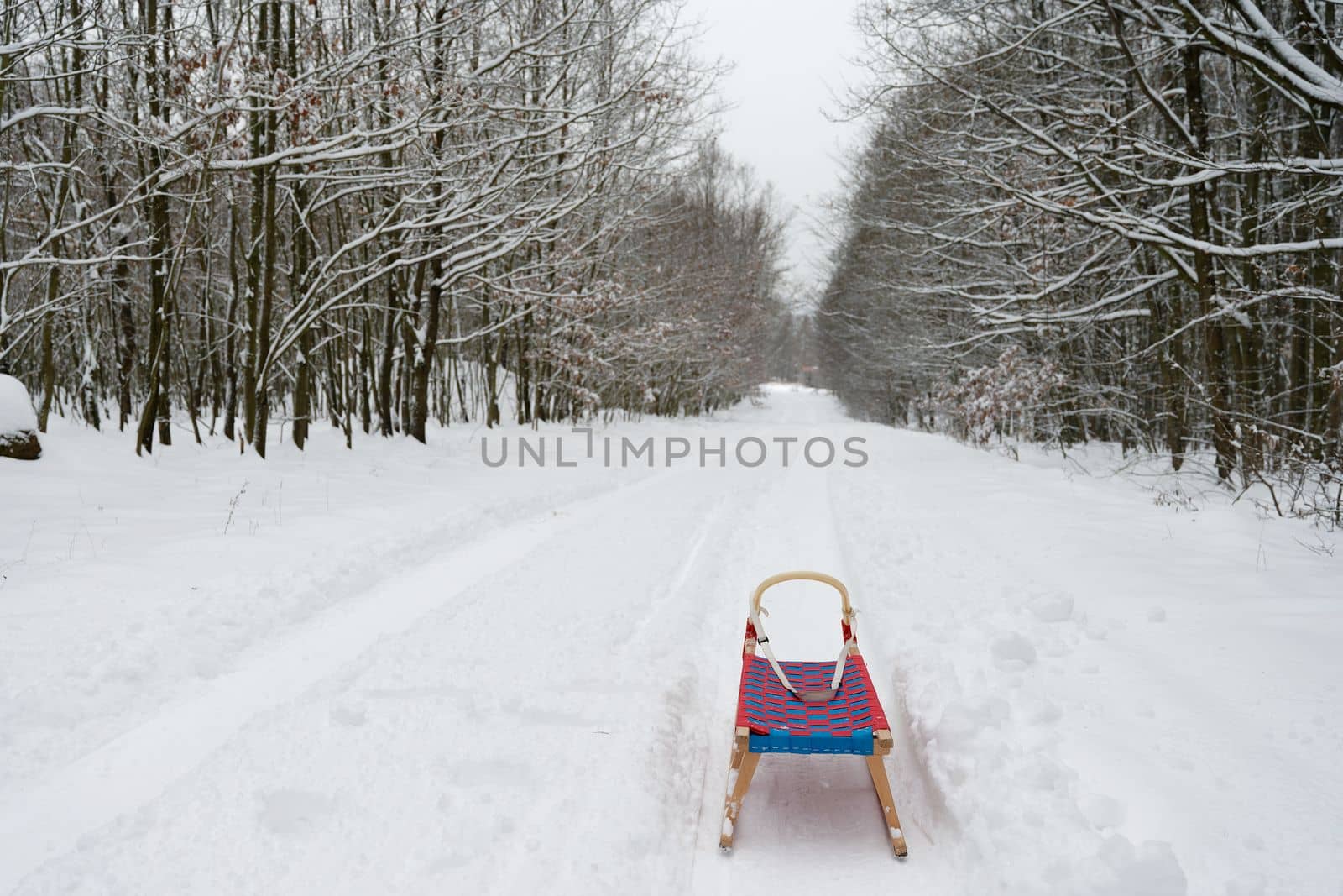 Winter background in nature with sled. Trees and snowy landscape during outdoor activities in winter.