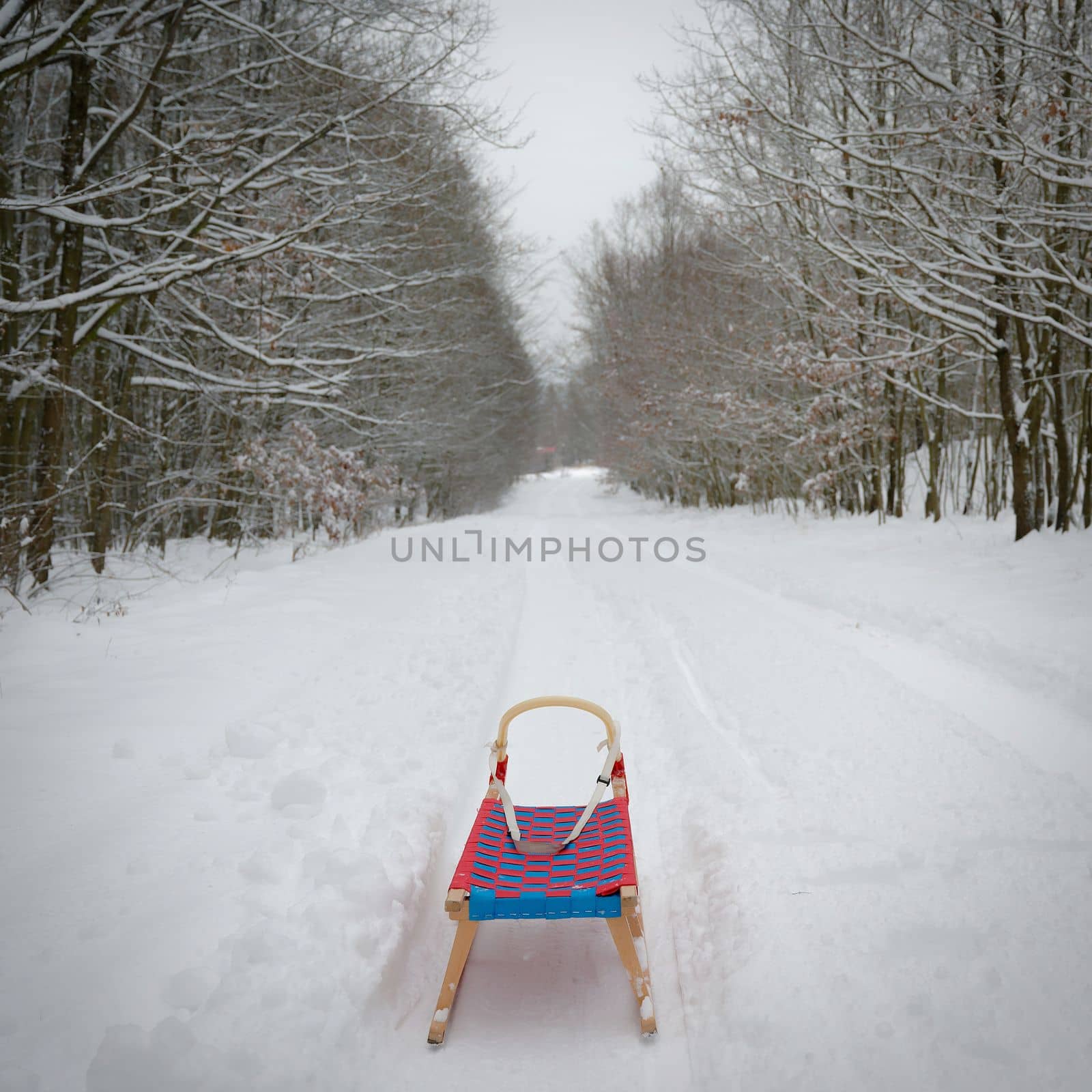 Winter background in nature with sled. Trees and snowy landscape during outdoor activities in winter. by Montypeter