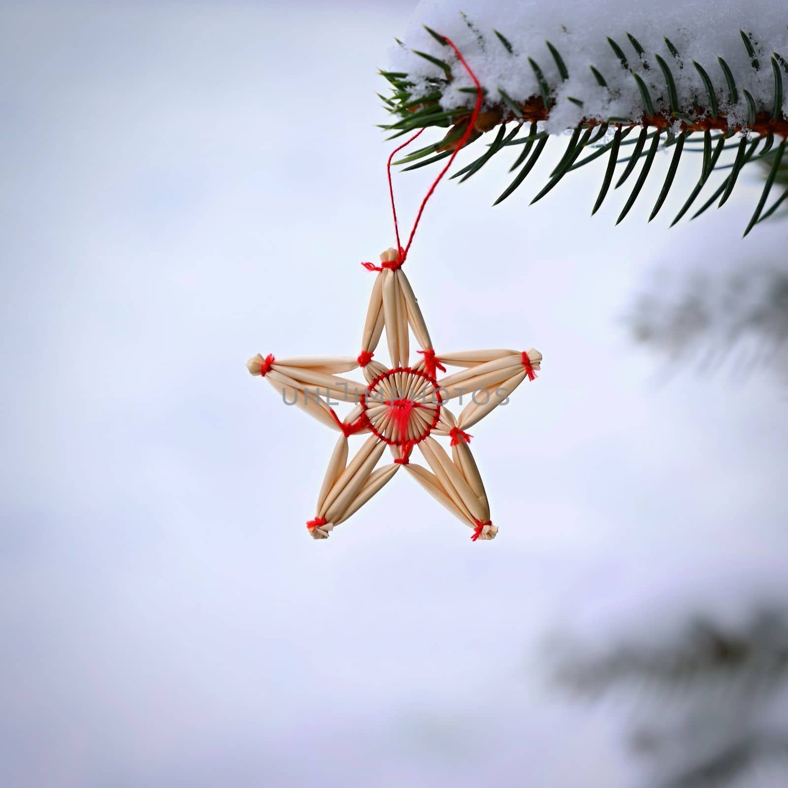 Ornaments and lights on the decorated Christmas tree.  by Montypeter