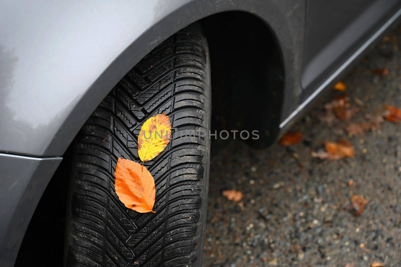 Tires with leaves and car on wet road in autumn season. Foggy and dangerous driving - concept for traffic and road safety. by Montypeter