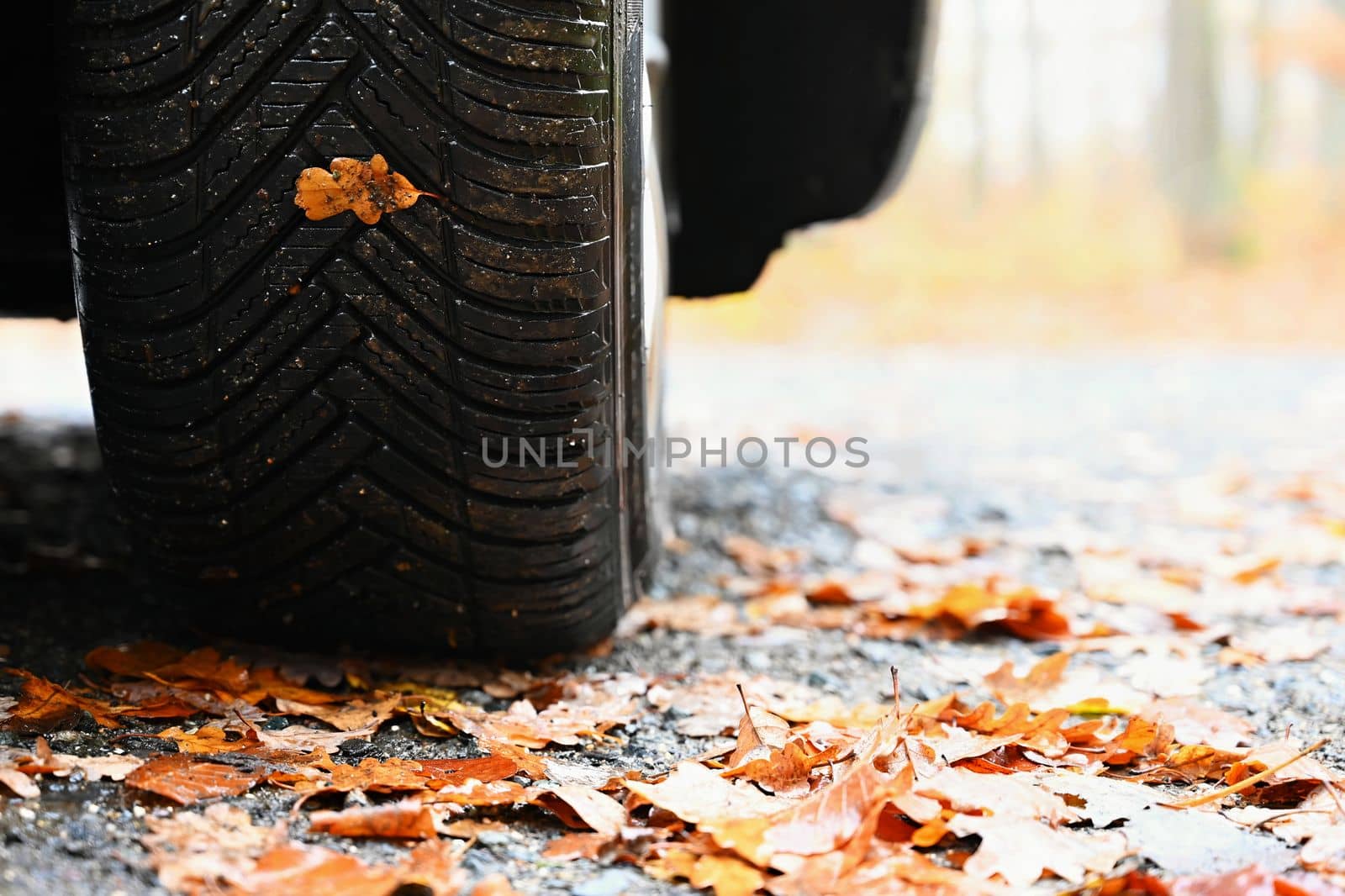 Tires with leaves and car on wet road in autumn season. Foggy and dangerous driving - concept for traffic and road safety.