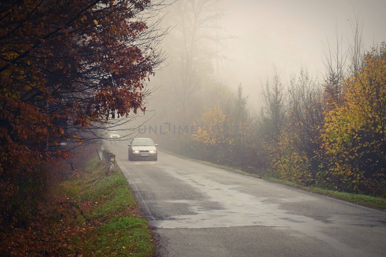 Road in autumn. Foggy and dangerous car driving in the winter season. Bad weather with rain and traffic on the road. Concept for traffic and road safety. by Montypeter