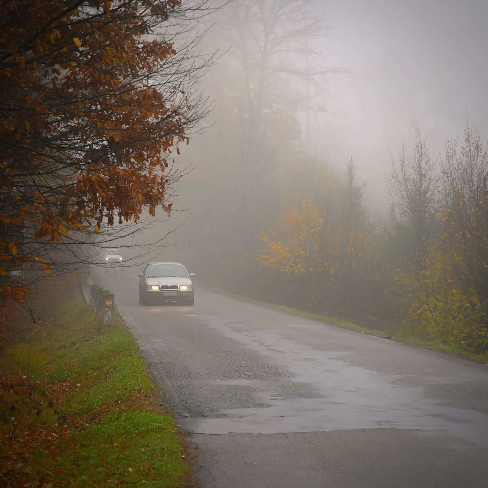 Road in autumn. Foggy and dangerous car driving in the winter season. Bad weather with rain and traffic on the road. Concept for traffic and road safety. by Montypeter