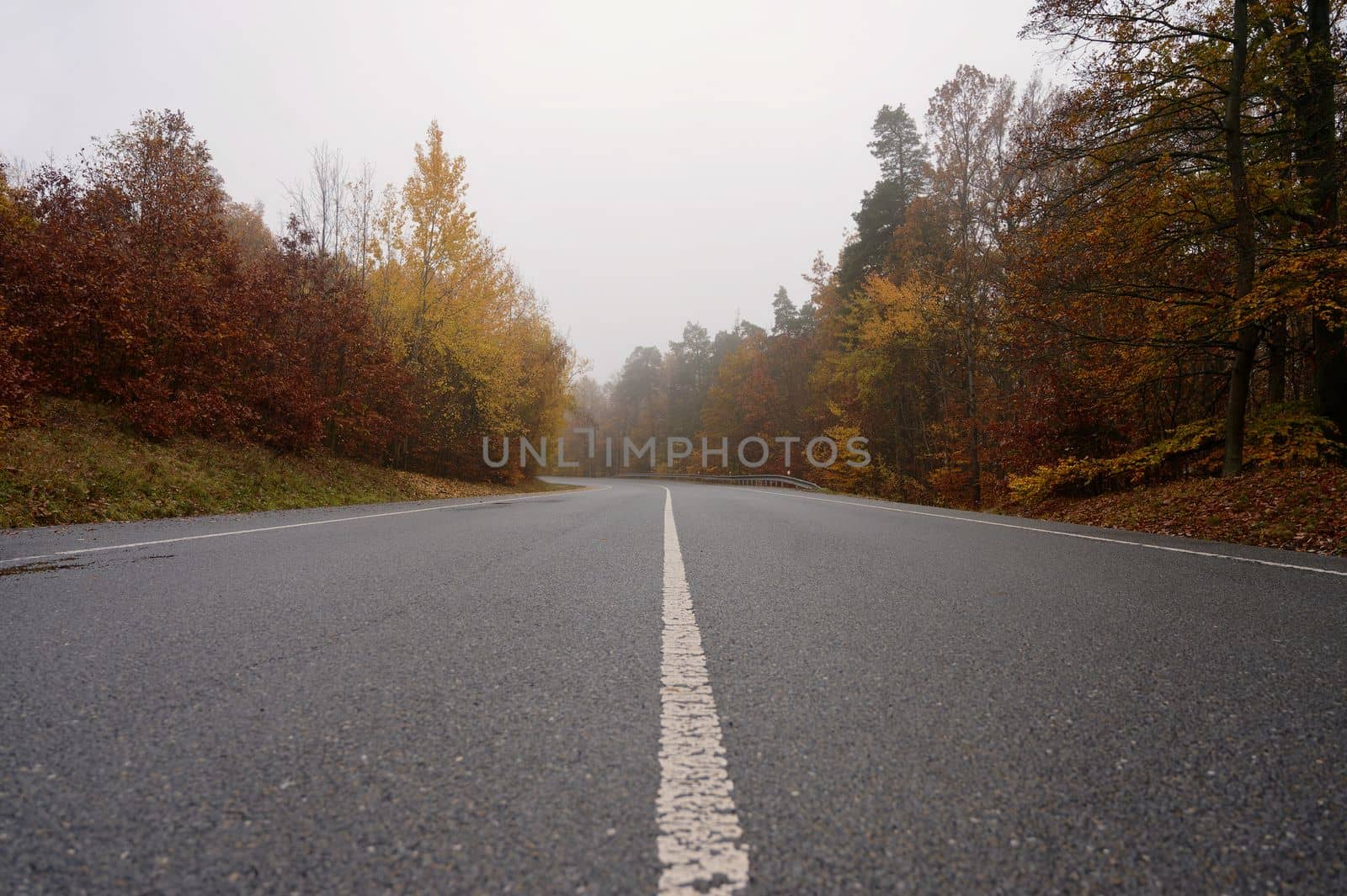 Road in autumn. Foggy and dangerous car driving in the winter season. Bad weather with rain and traffic on the road. Concept for traffic and road safety. by Montypeter