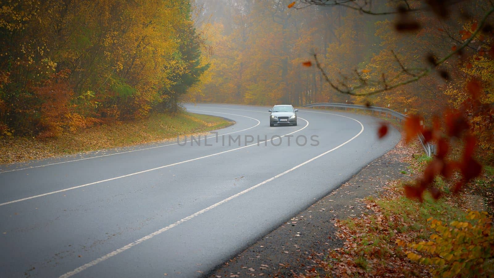 Road in autumn. Foggy and dangerous car driving in the winter season. Bad weather with rain and traffic on the road. Concept for traffic and road safety.