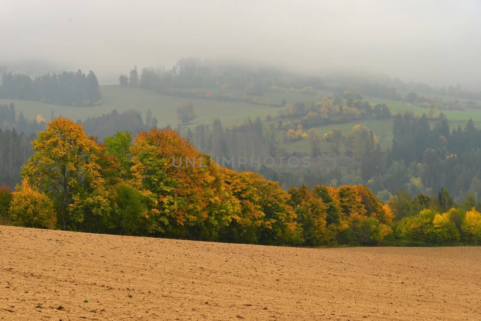 Beautiful autumn landscape with colorful trees. Nature background with fog and rural landscape.