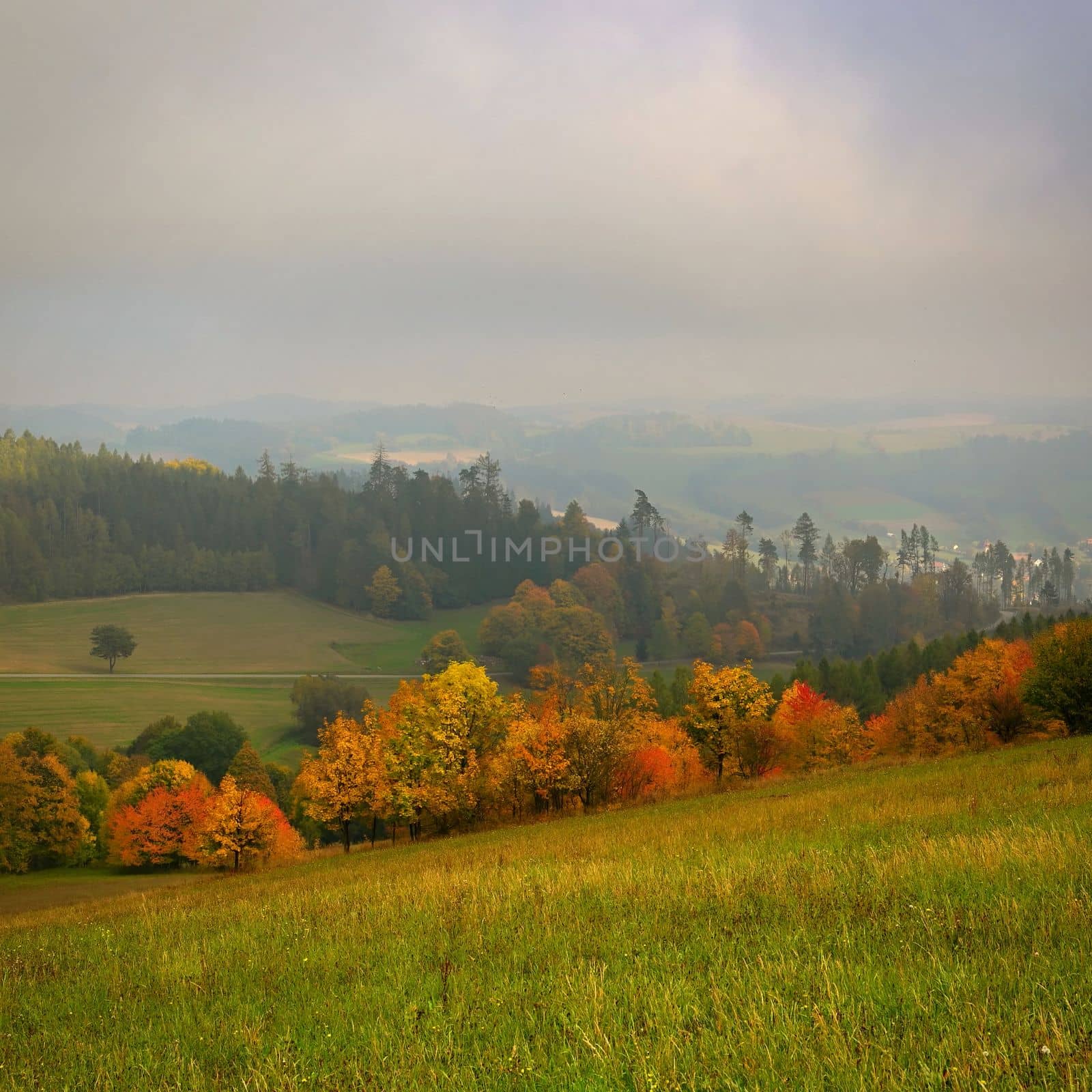 Beautiful autumn landscape with colorful trees. Nature background with fog and rural landscape. by Montypeter