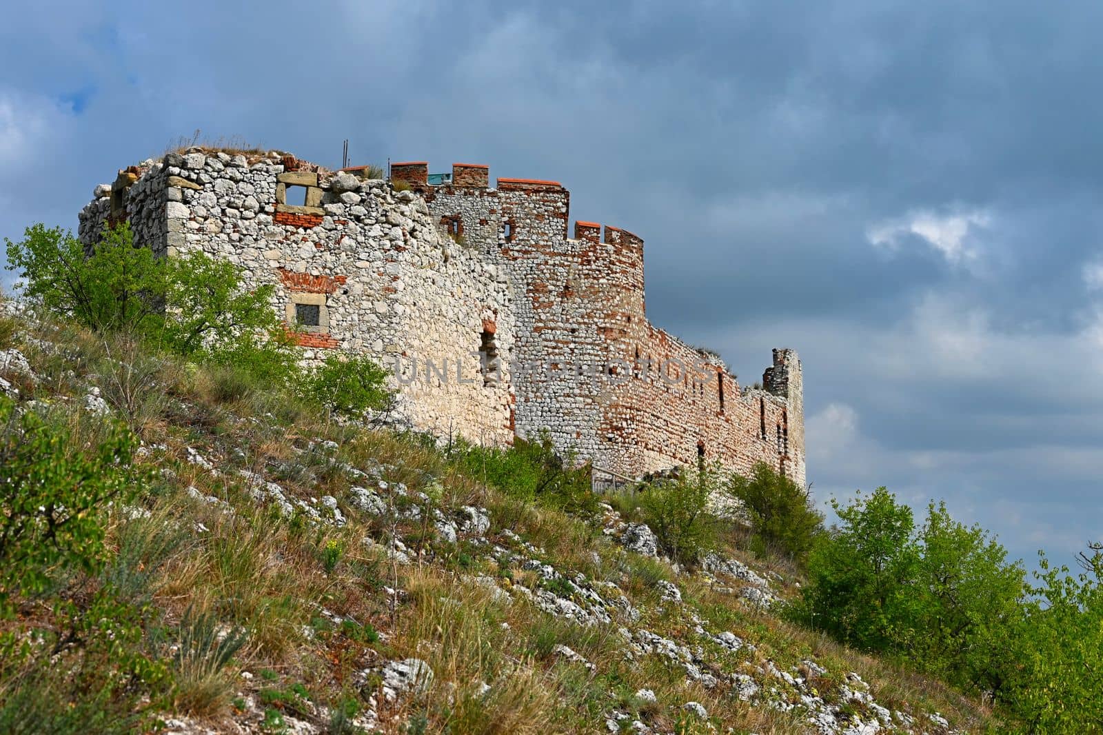 South Moravia - Palava - wine region in the Czech Republic. Ruins of an old castle. (Devicky-divci castle) by Montypeter