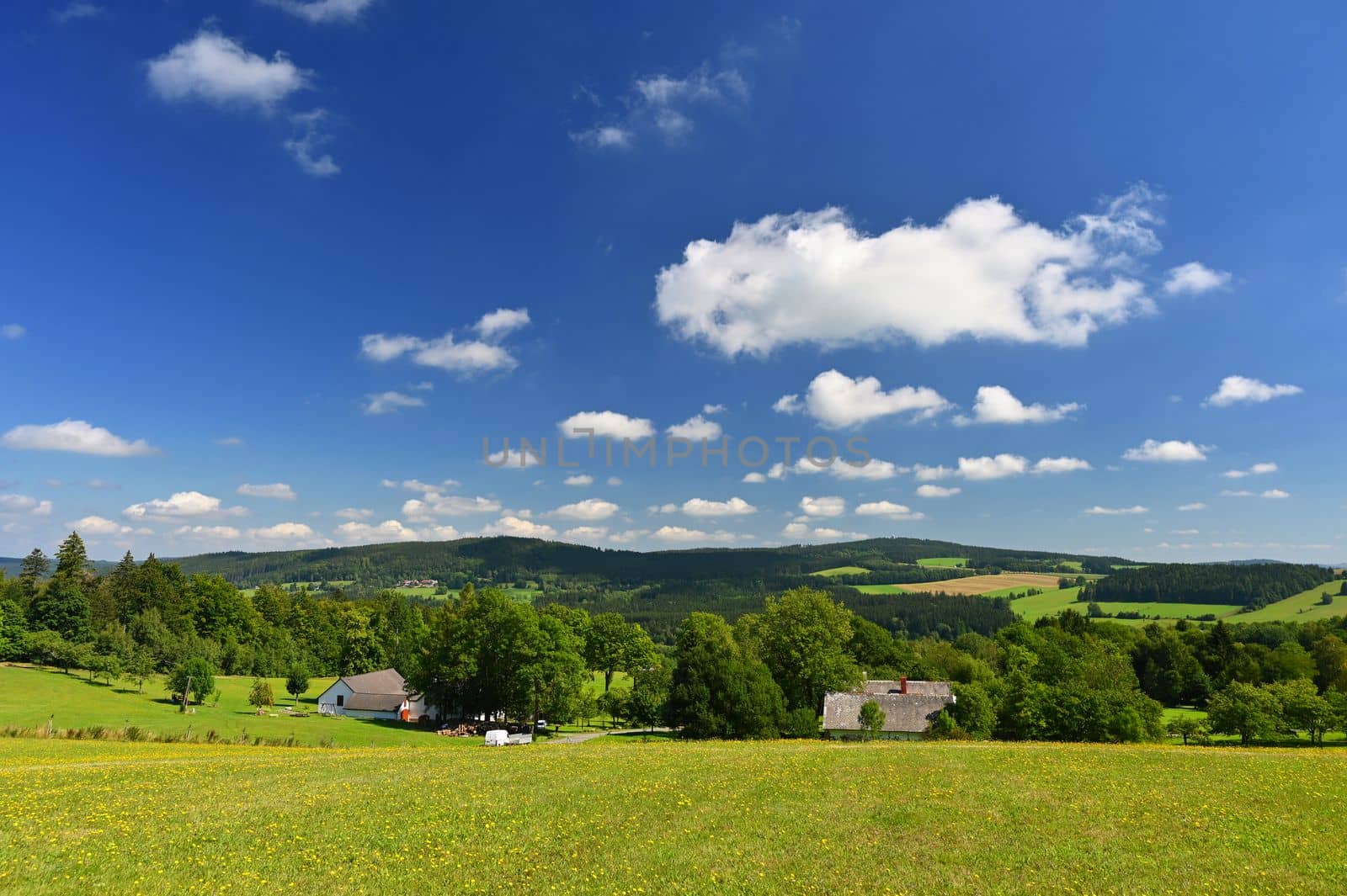 Beautiful summer landscape with nature. Meadow with forest and blue sky on a sunny day. Highlands - Czech Republic by Montypeter