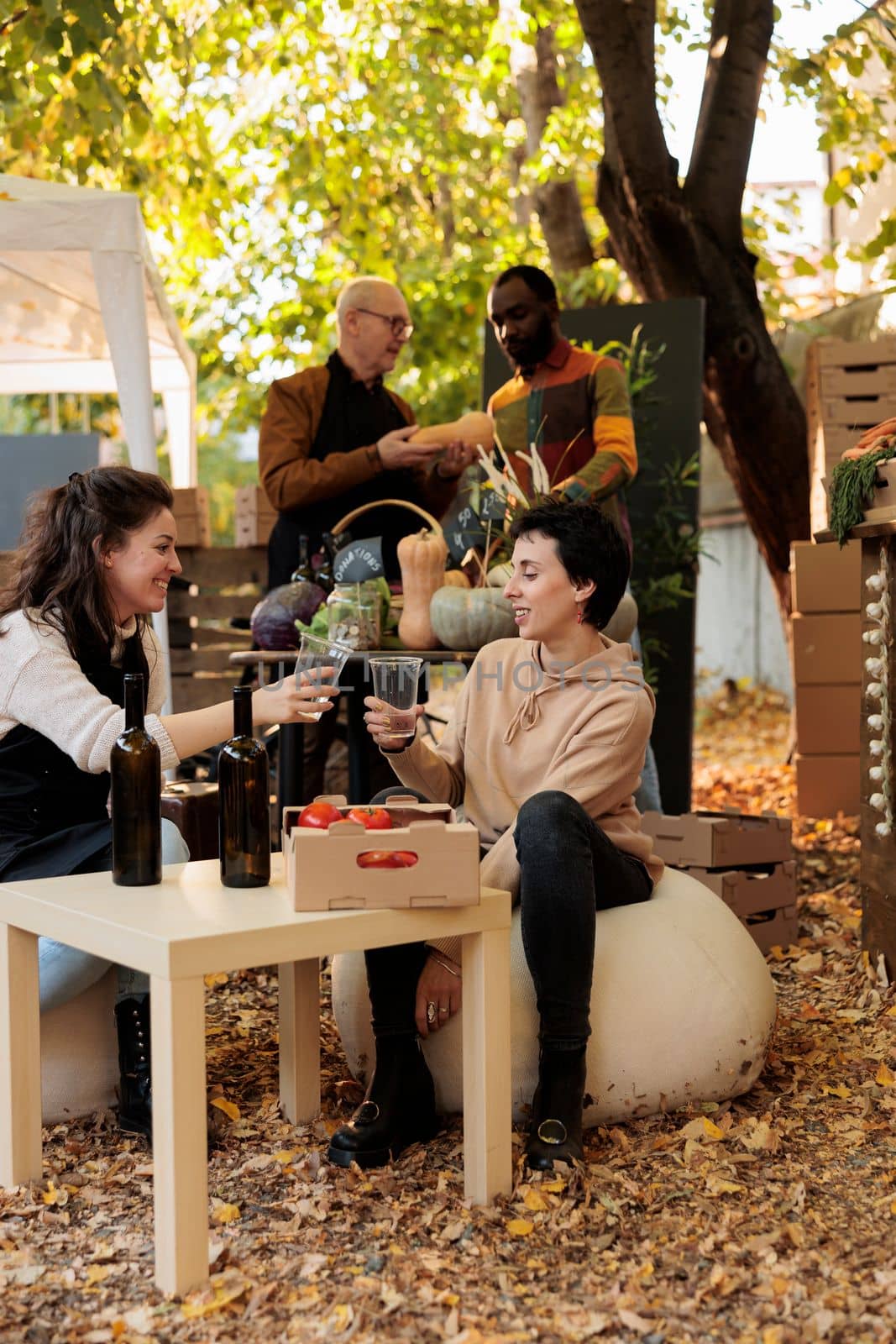 Smiling women clinking glasses of organic wine at food fair, tasting homemade products and drinks sitting outside. Young people enjoying bottle of fresh natural wine, trying healthy produce.