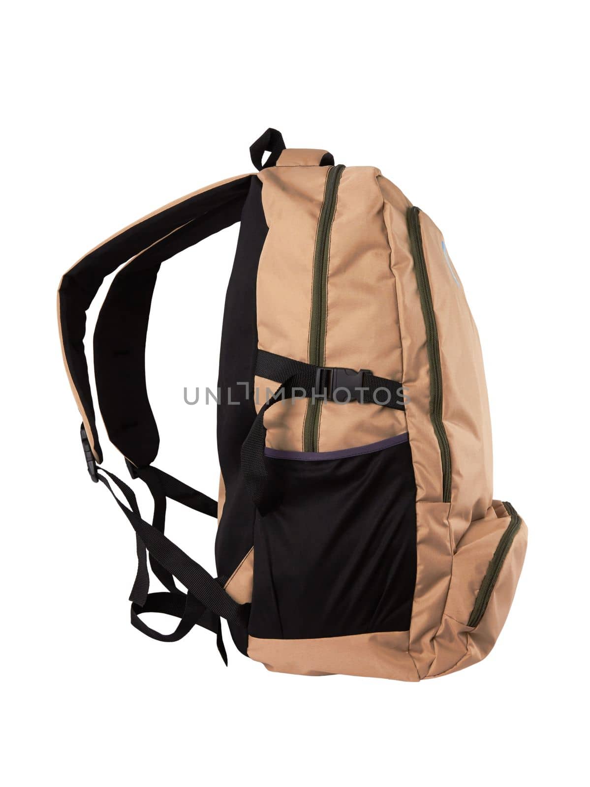 Camouflage backpack for the forest and military backpack isolated n white