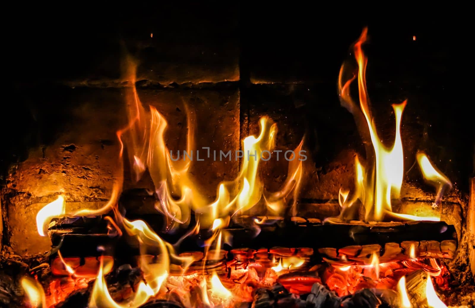 Flames of fire on a black background. Burning wood in the fireplace