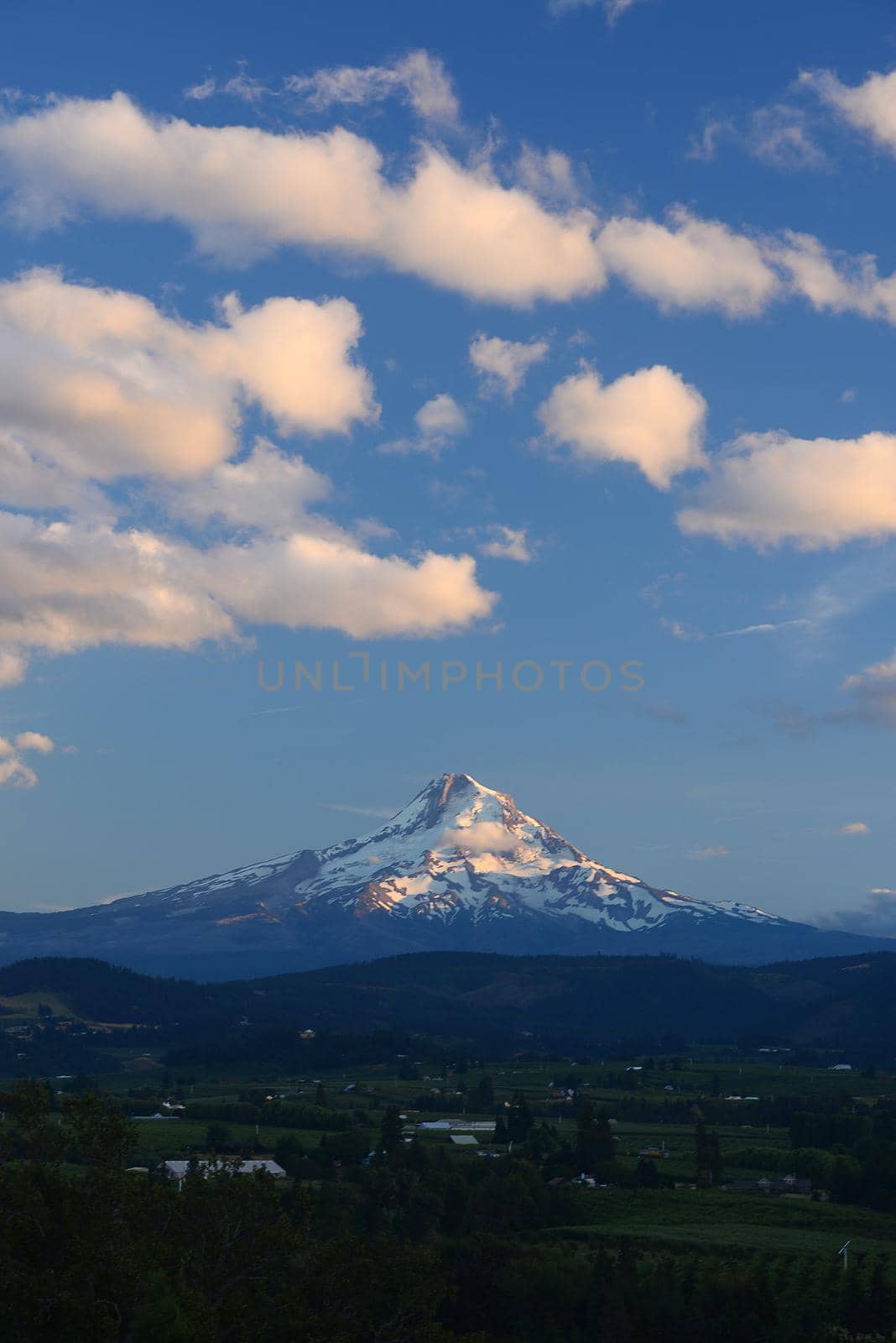 snow covered mount hood with afternoon sunlight