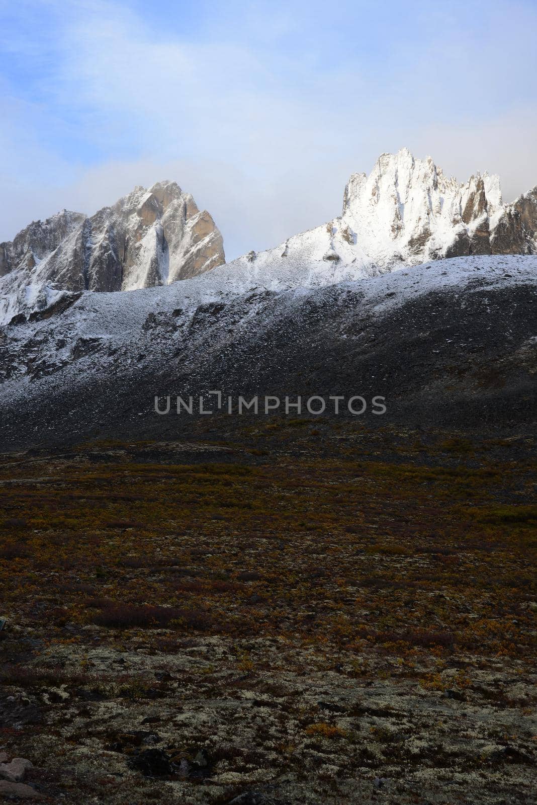 tombstone mountain landscape in yukon