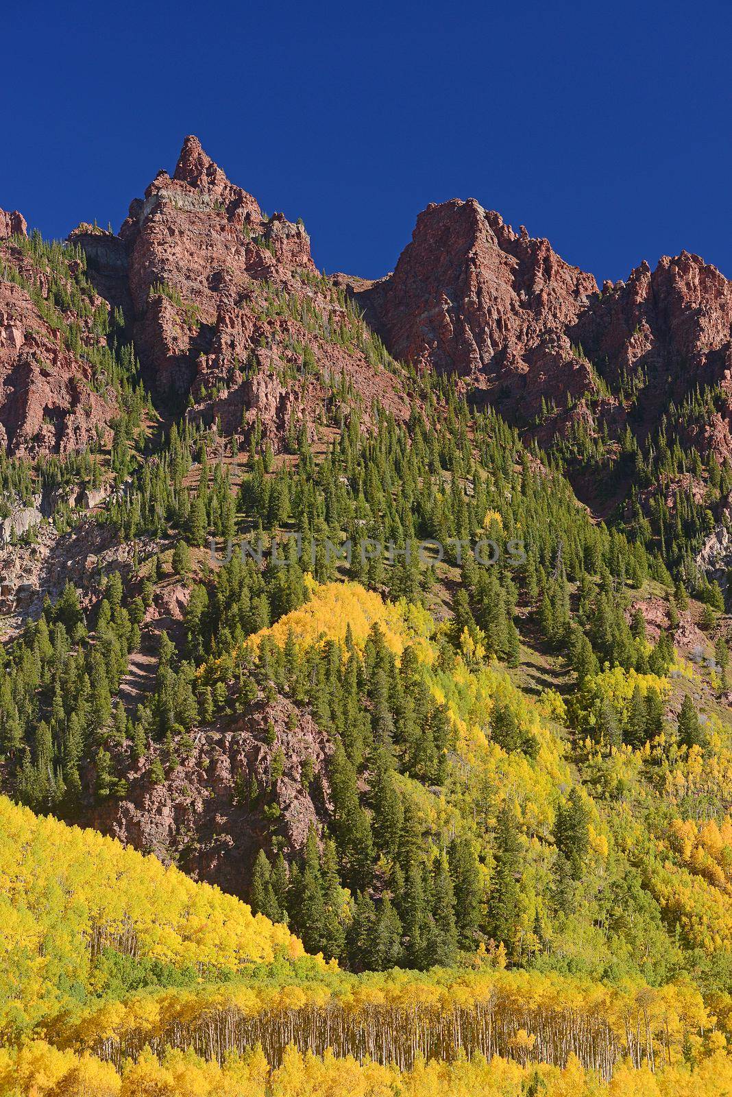 aspen with mountain by porbital