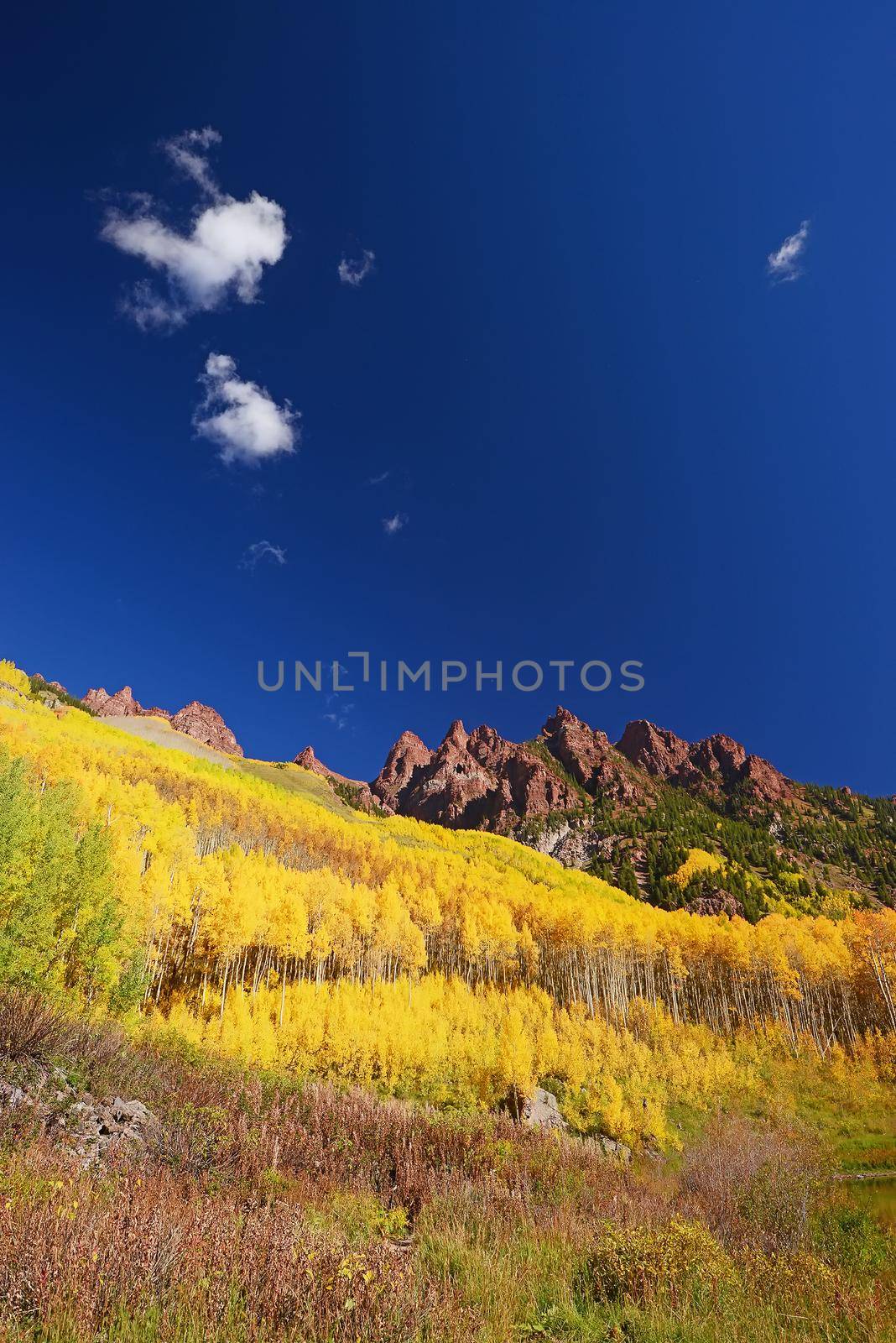 aspen tree with mountain peak in colorado during mid autumn