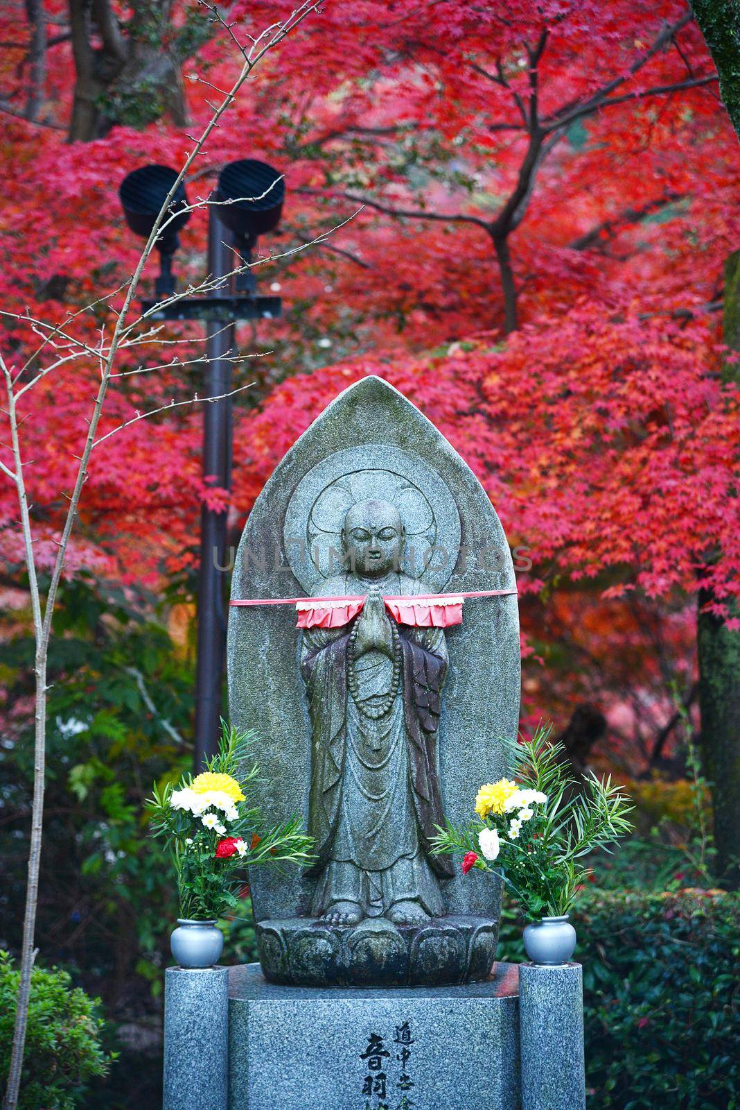buddha statue in autumn by porbital